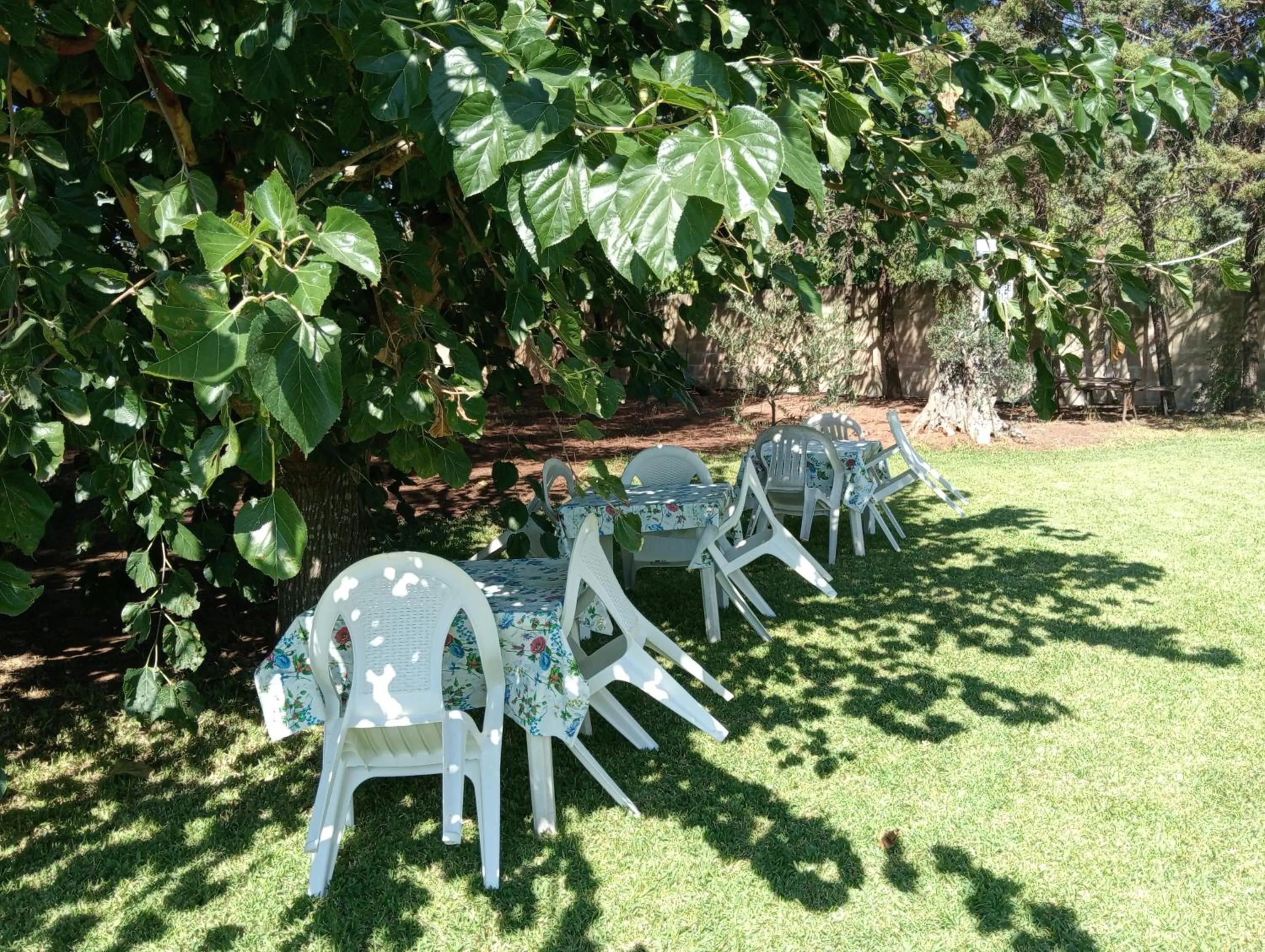 Garden view in Agriturismo Santa Chiara