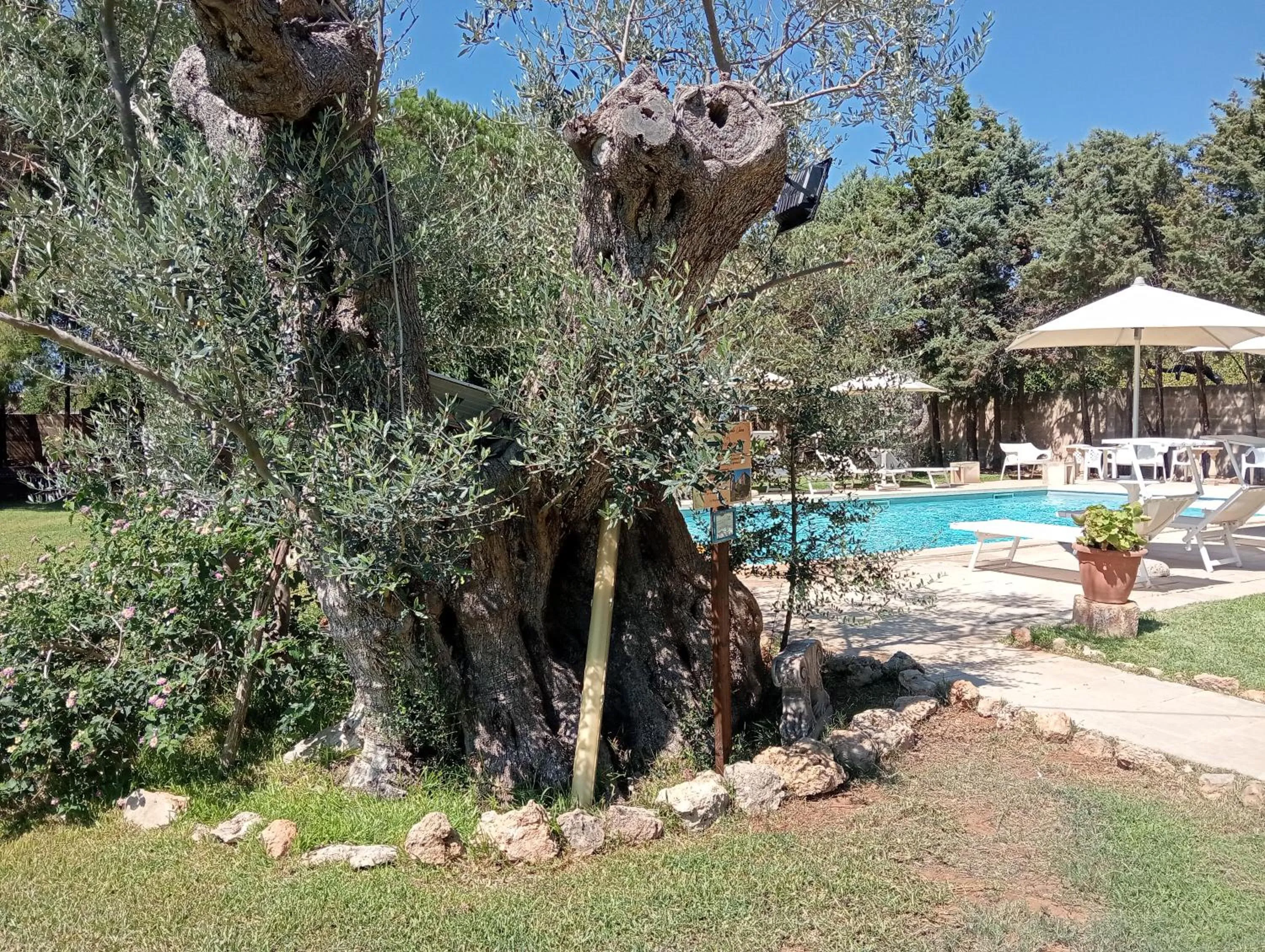 Natural landscape in Agriturismo Santa Chiara