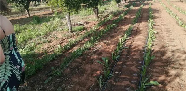 Day in Agriturismo Santa Chiara