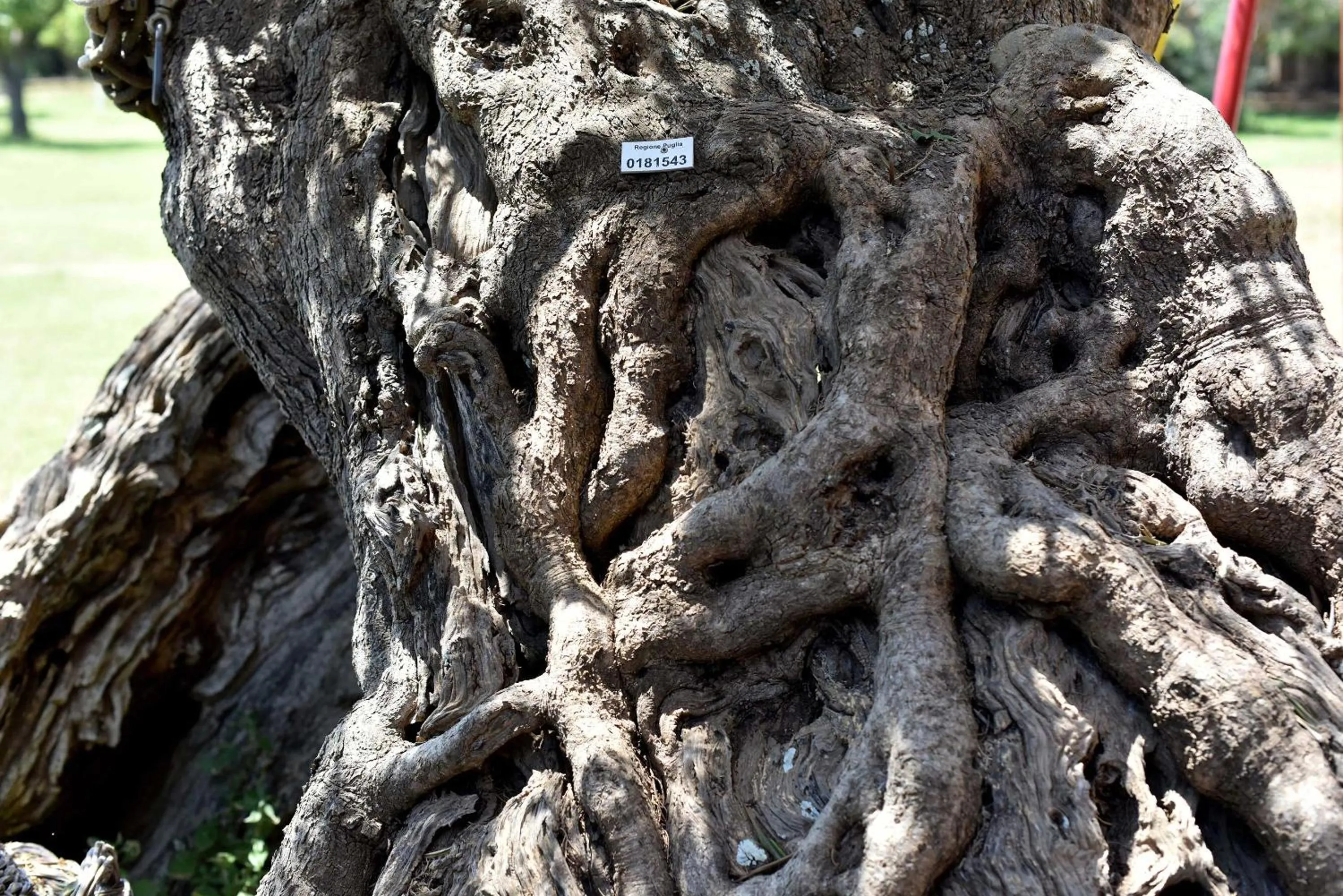 Other in Agriturismo Santa Chiara