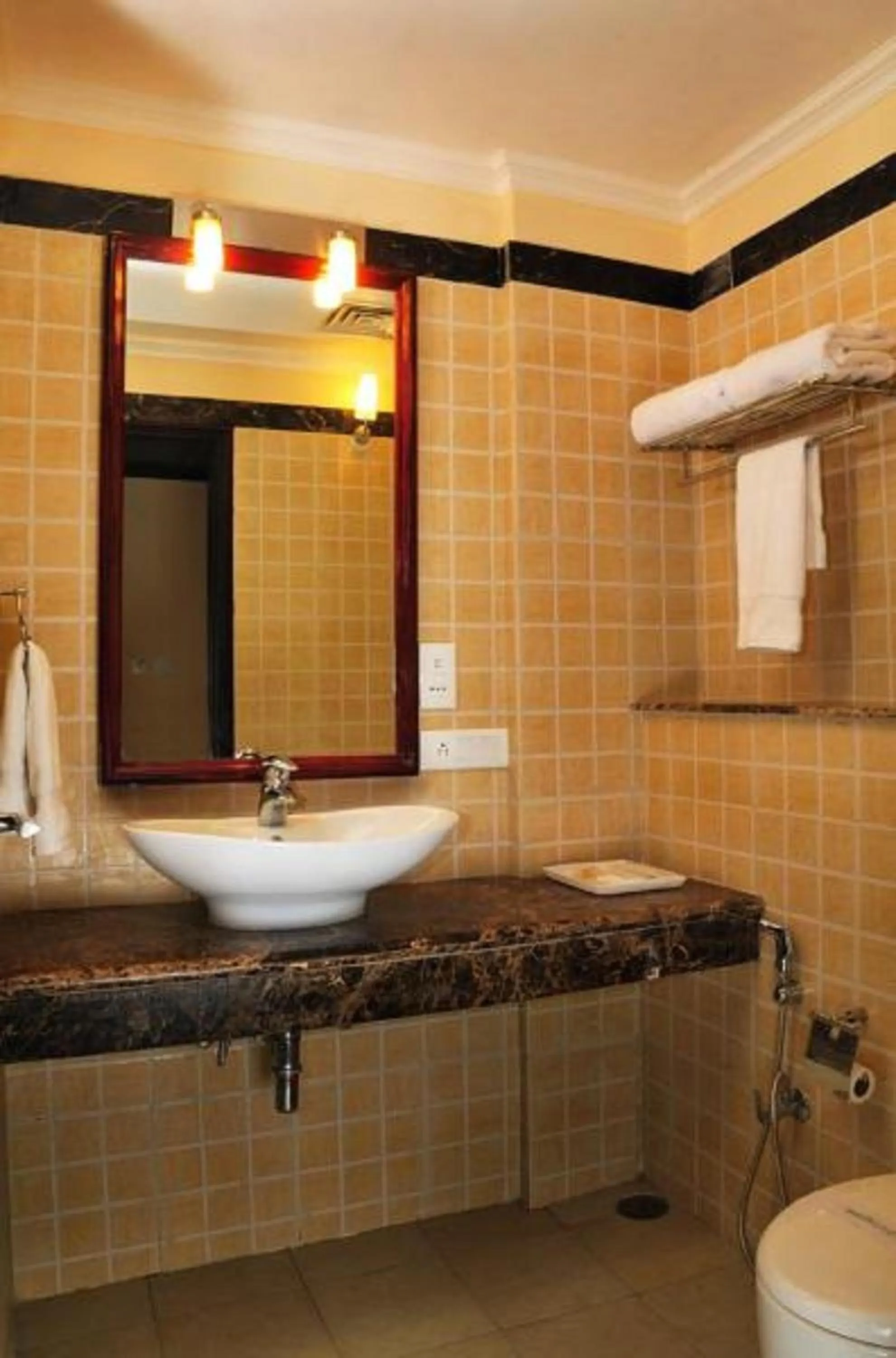 Toilet in Le Roi Corbett