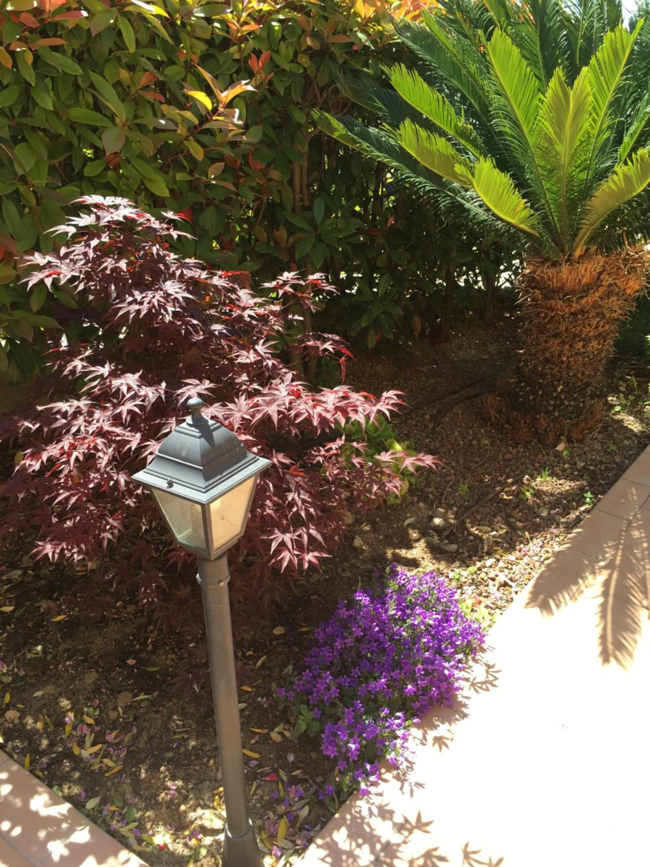 Villa Gaia - Luxury Villa, pool & wellness rooms