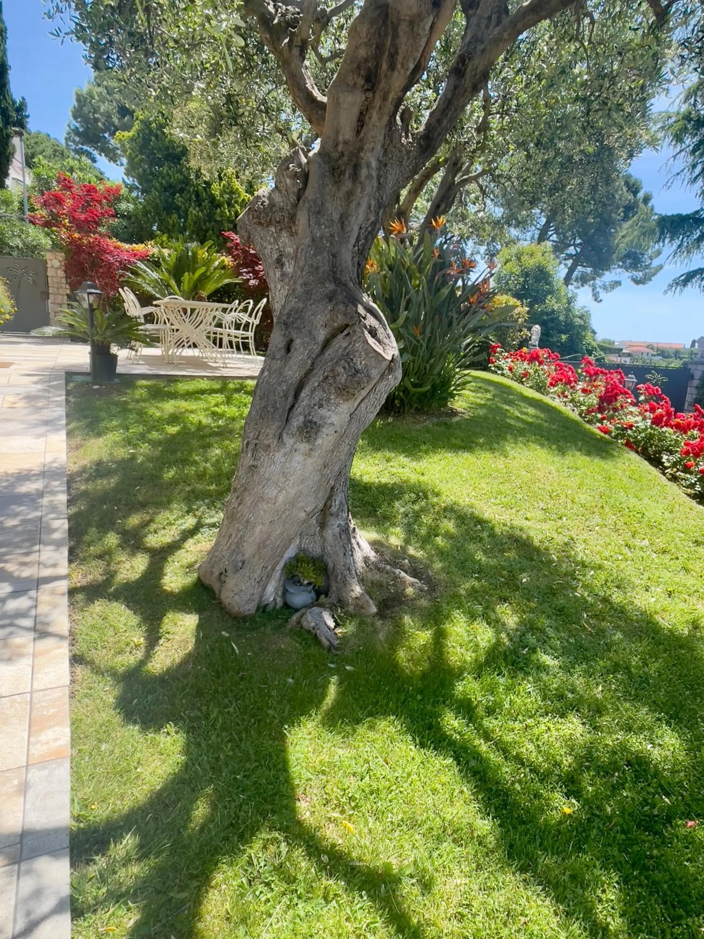Villa Gaia - Luxury Villa, pool & wellness rooms