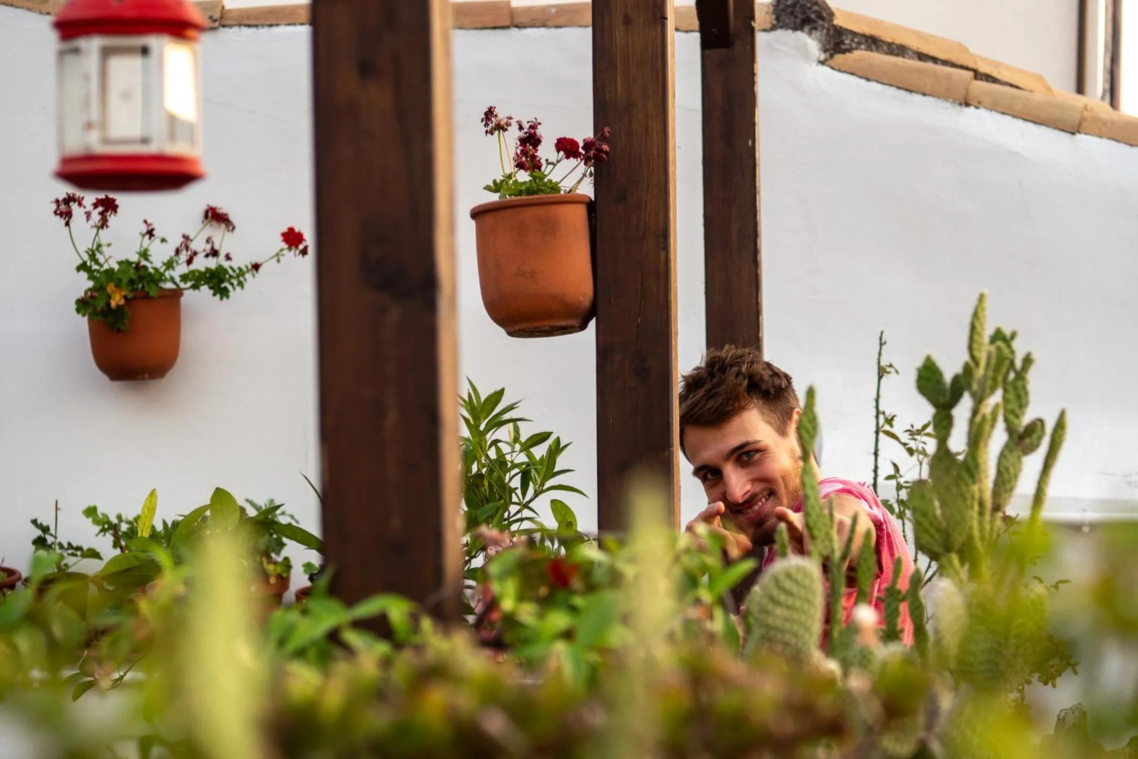 Balcony/Terrace in El Granado Hostel