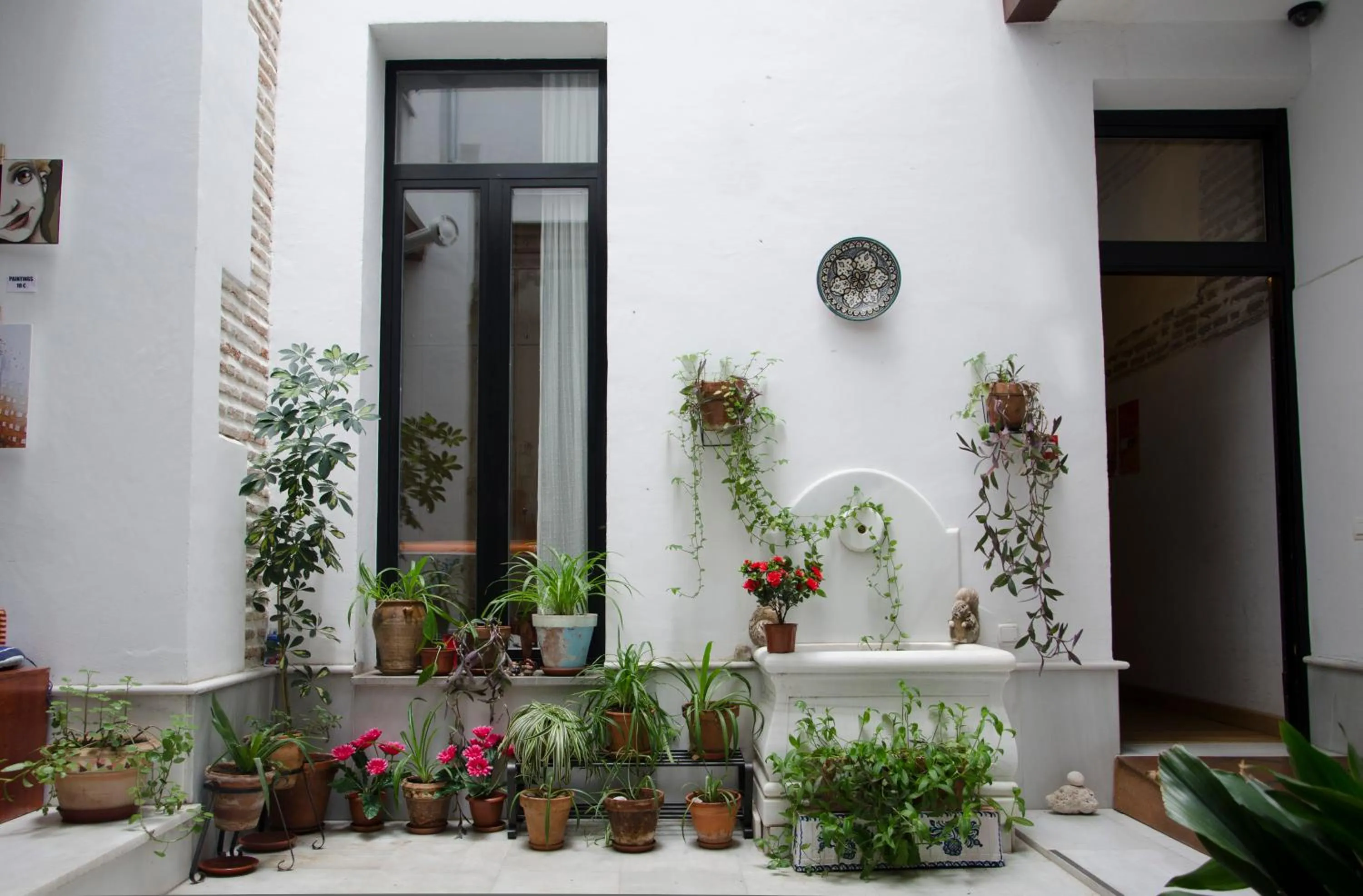 Patio in El Granado Hostel