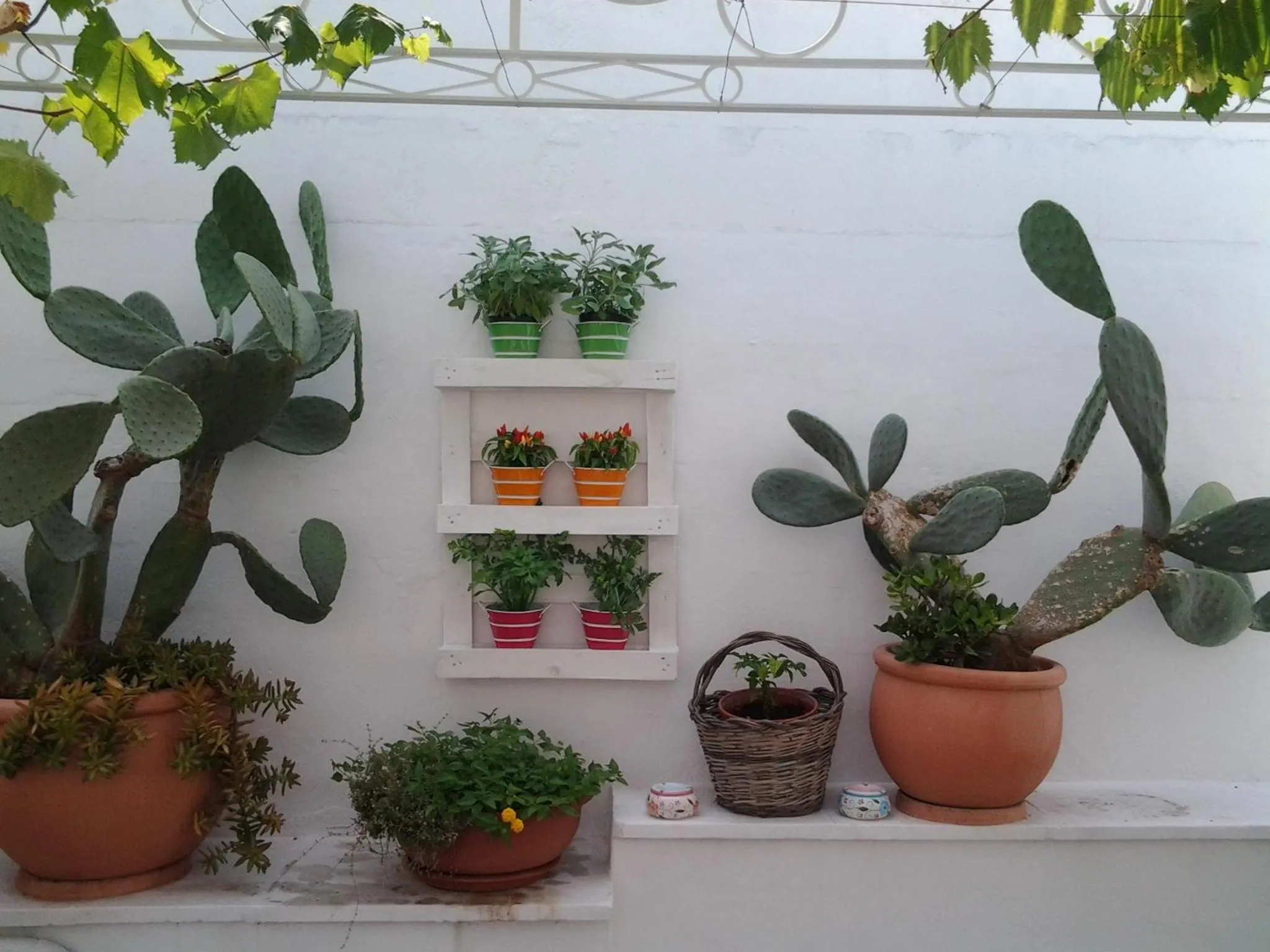 Balcony/Terrace in B&B La Porta Vecchia