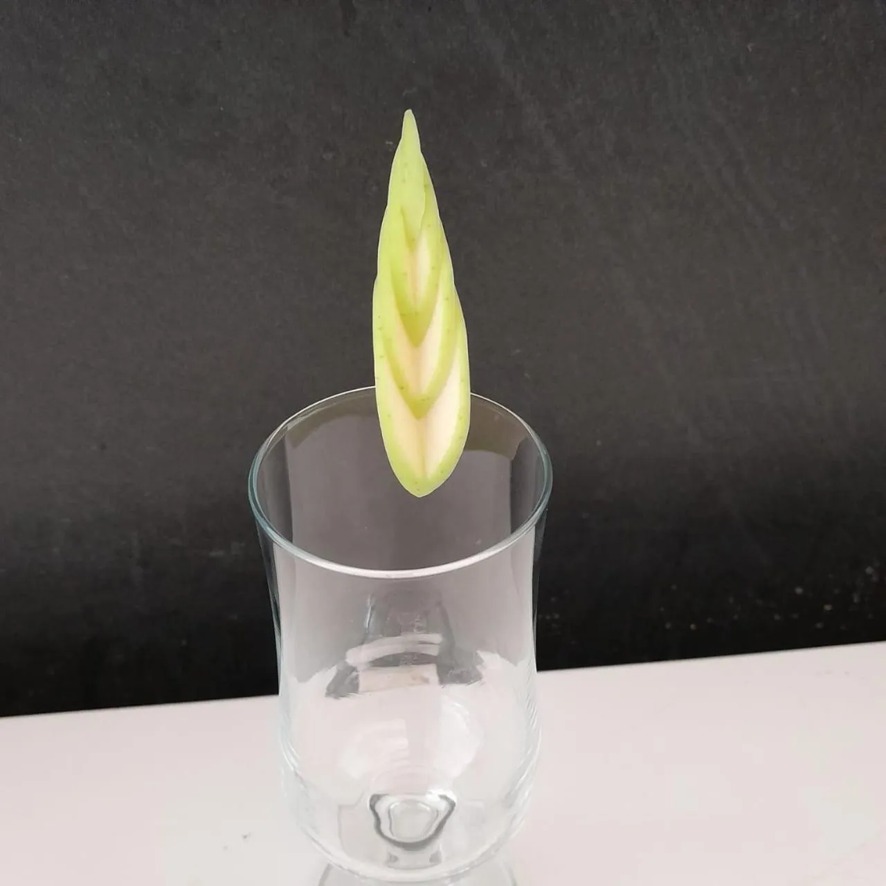 The Rhino Resort Hotel & Spa