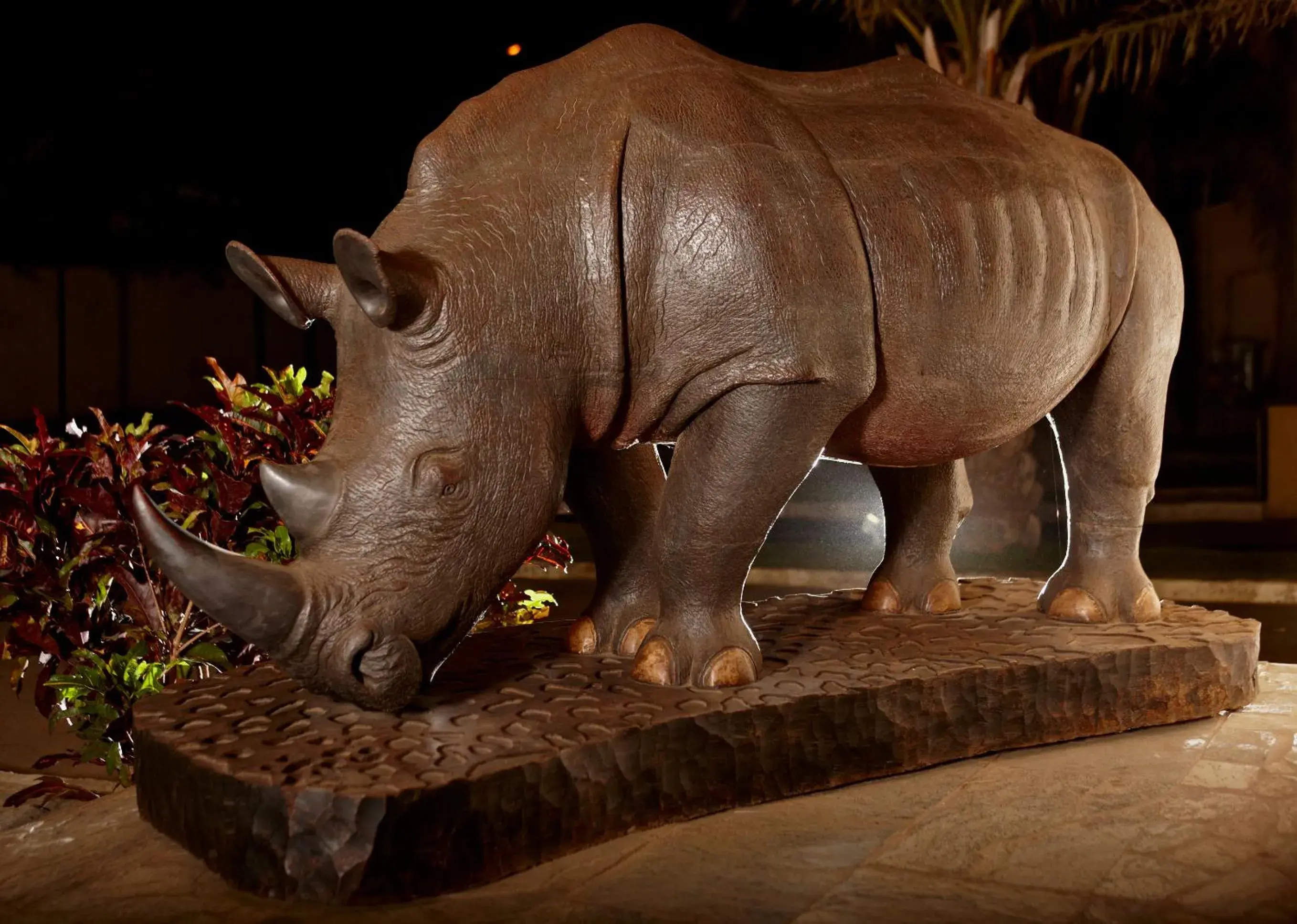 Lobby or reception in The Rhino Resort Hotel & Spa Lobby or reception in The Rhino Resort Hotel & Spa