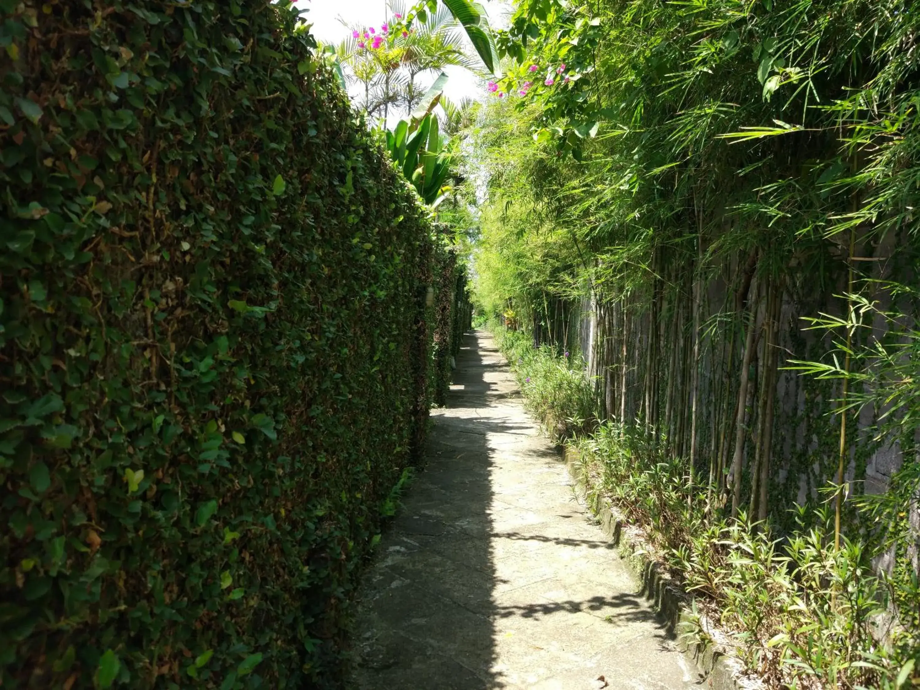 Garden in Gajah Mina Beach Resort Garden in Gajah Mina Beach Resort