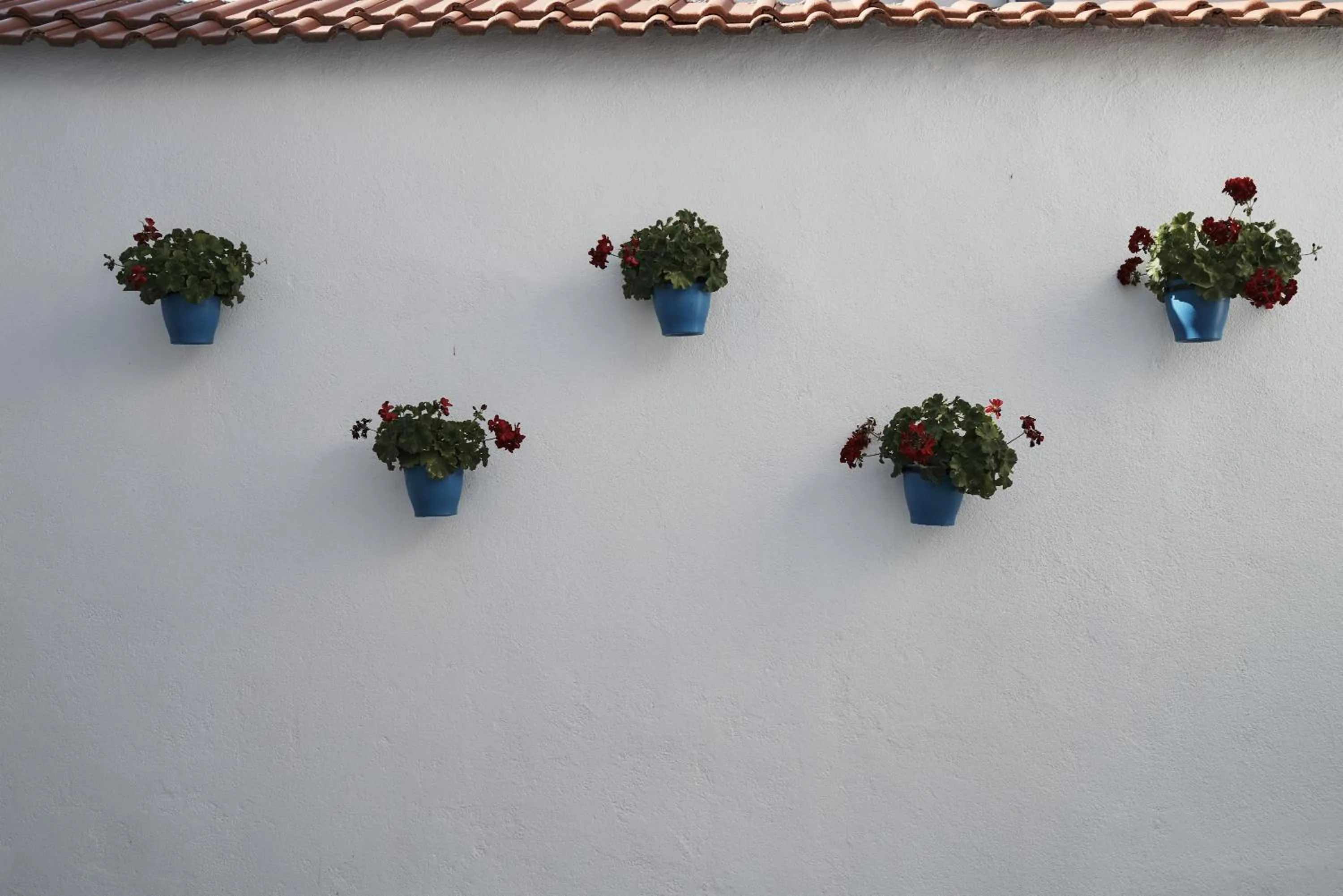 Decorative detail in Pansion Rose