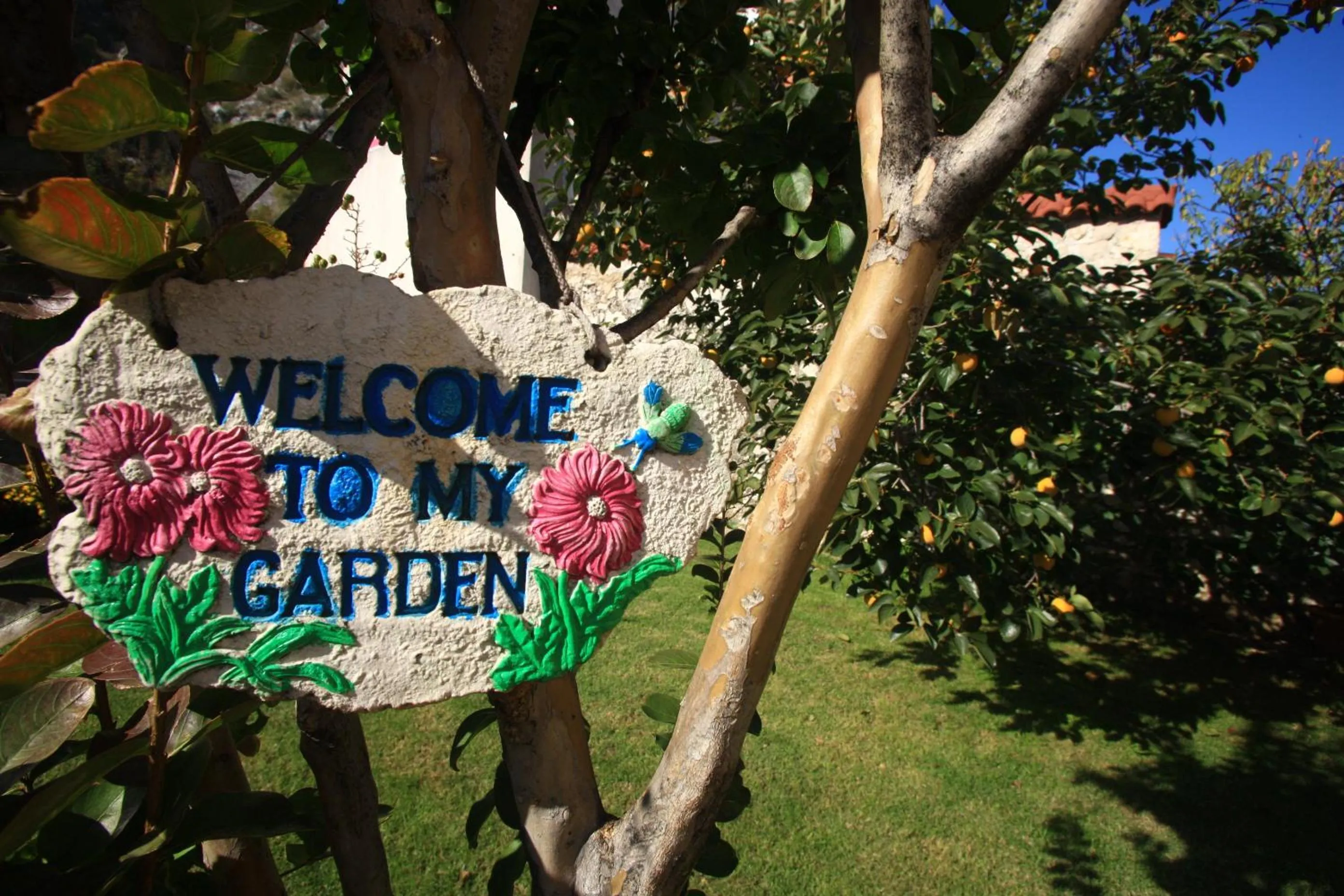 Garden in Pansion Rose