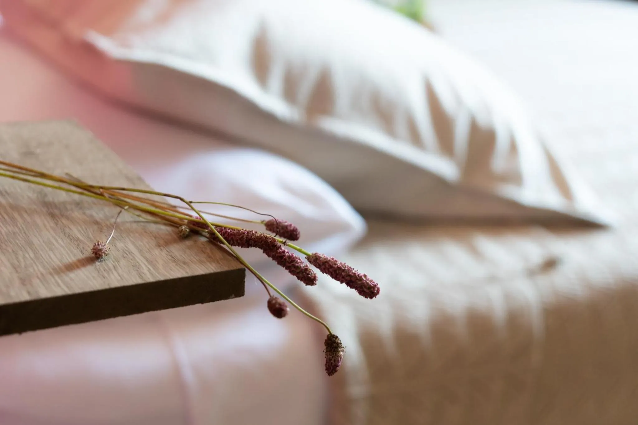 Bed in La Bastia - Bed & Soul