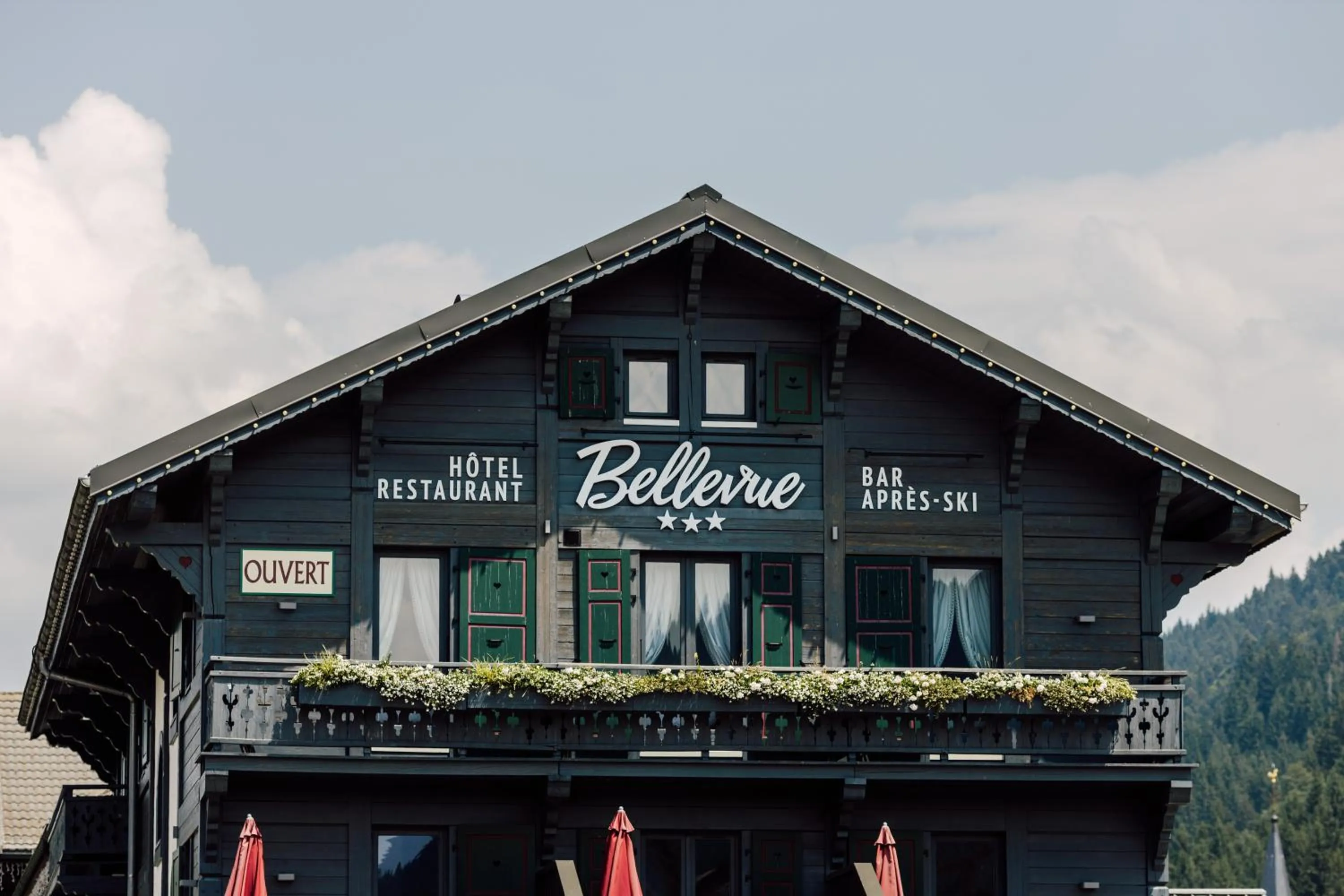 Balcony/Terrace in Bellevue