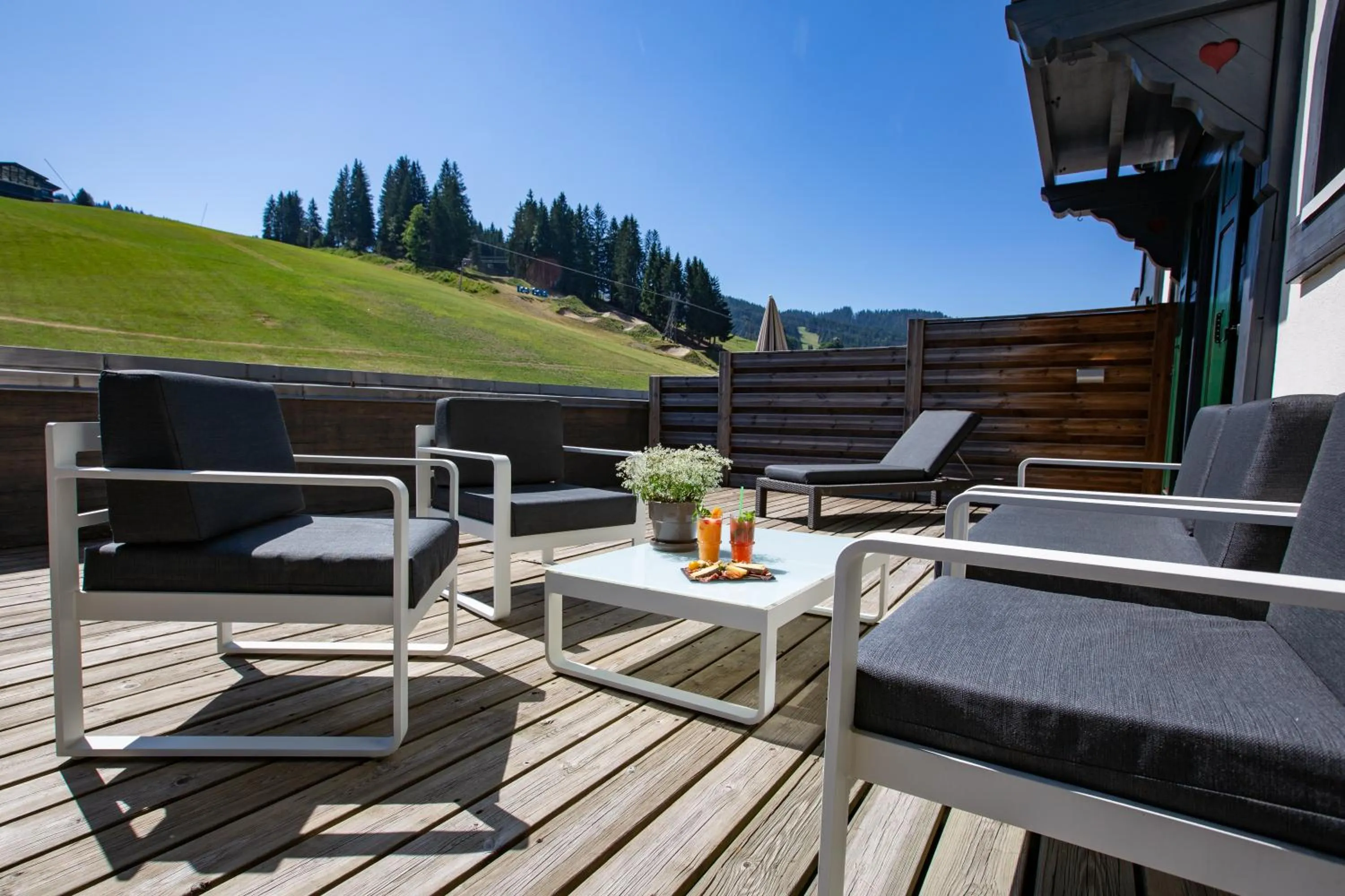 Balcony/Terrace in Bellevue