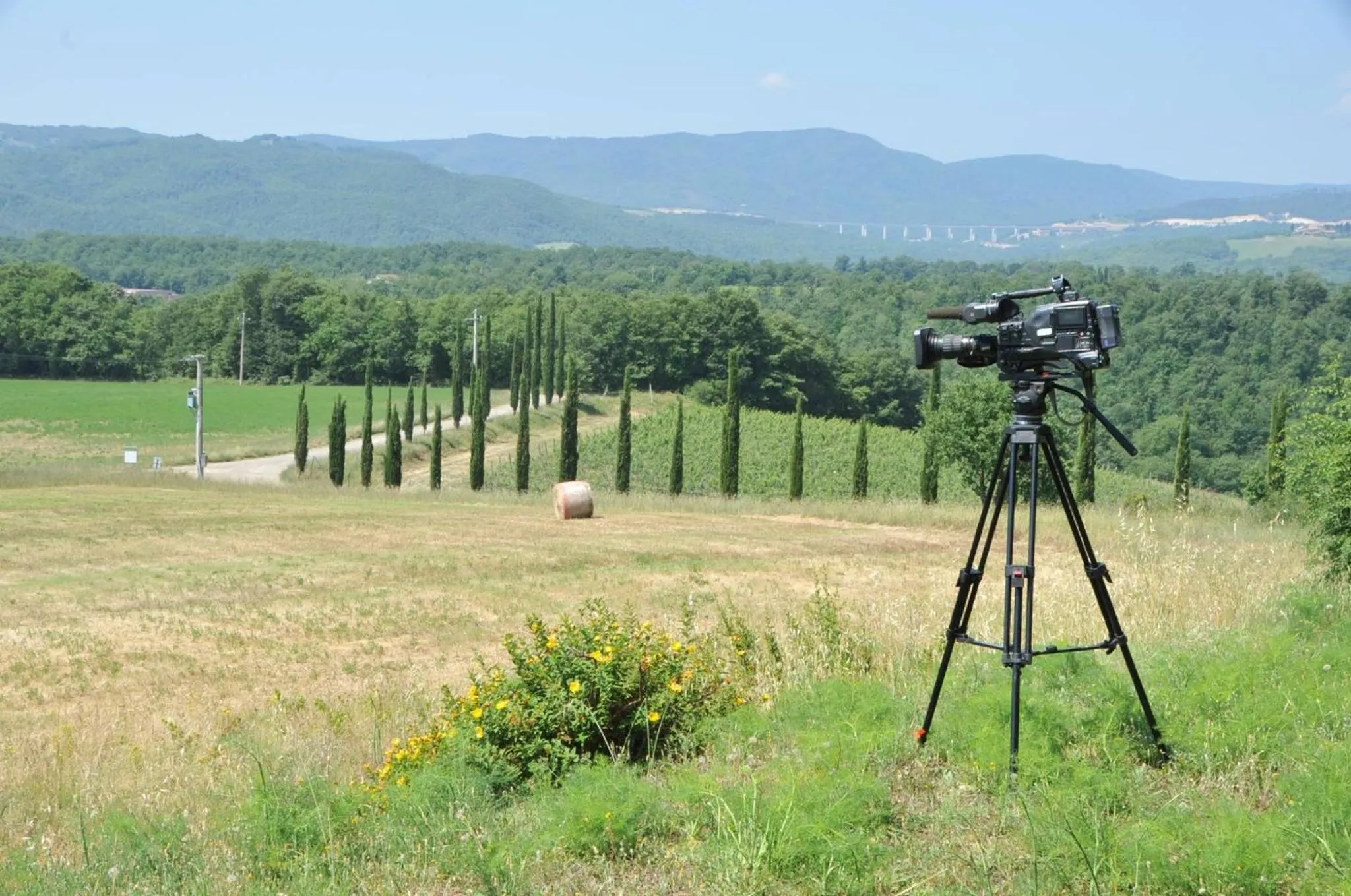 Property building in Tenuta Casabianca