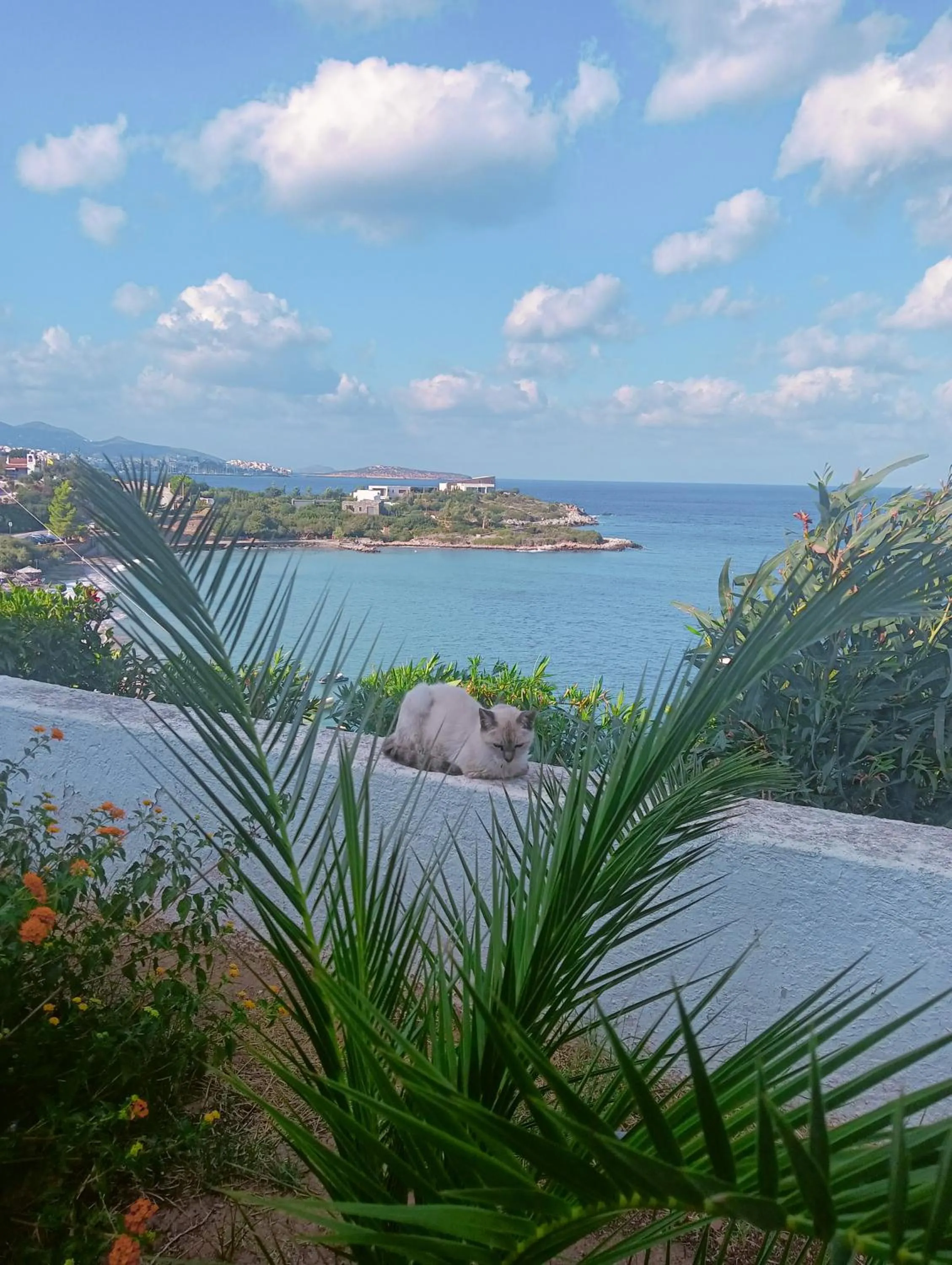 Residence Gerani