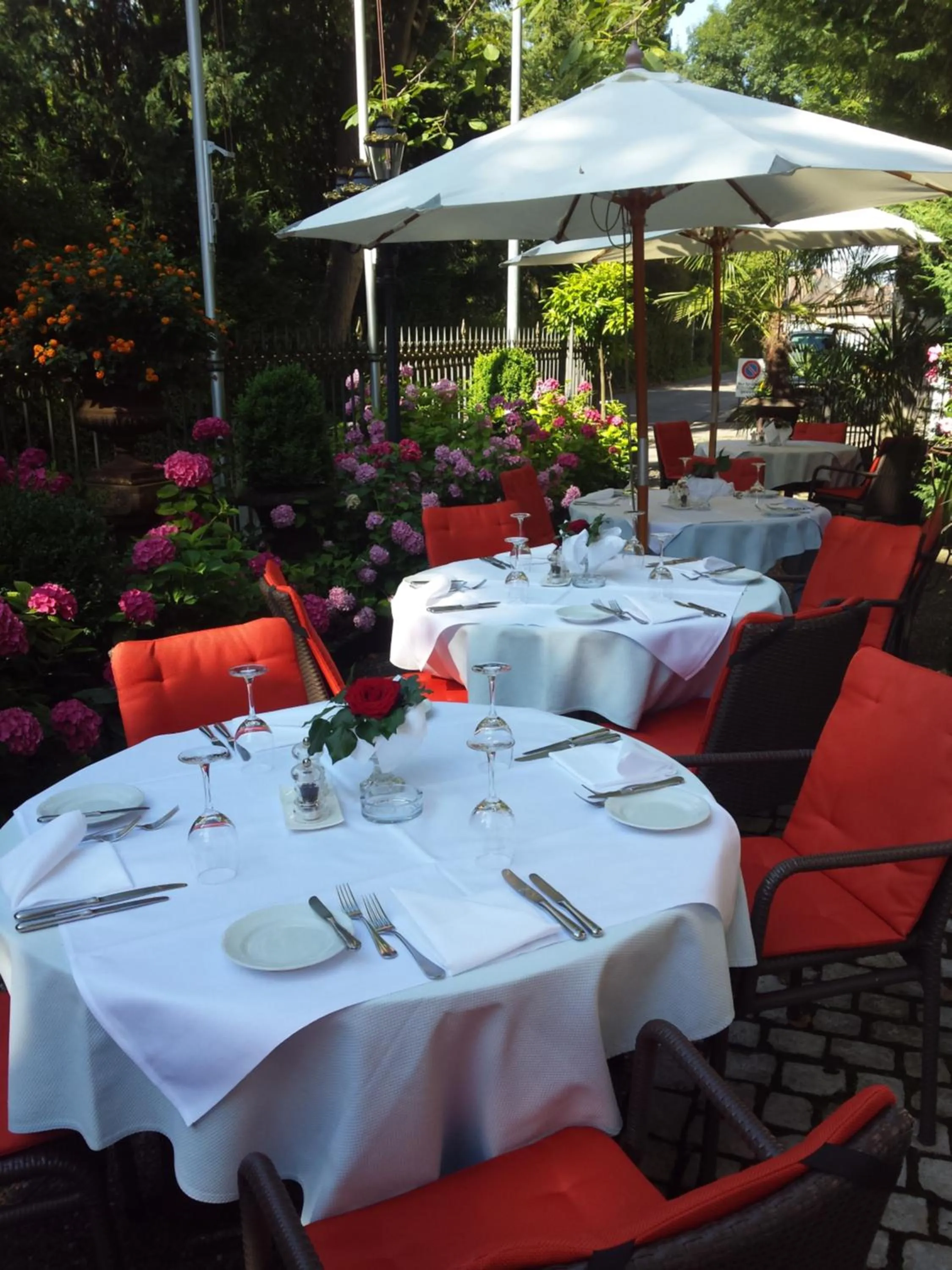 Restaurant/places to eat in Hotel Park Villa