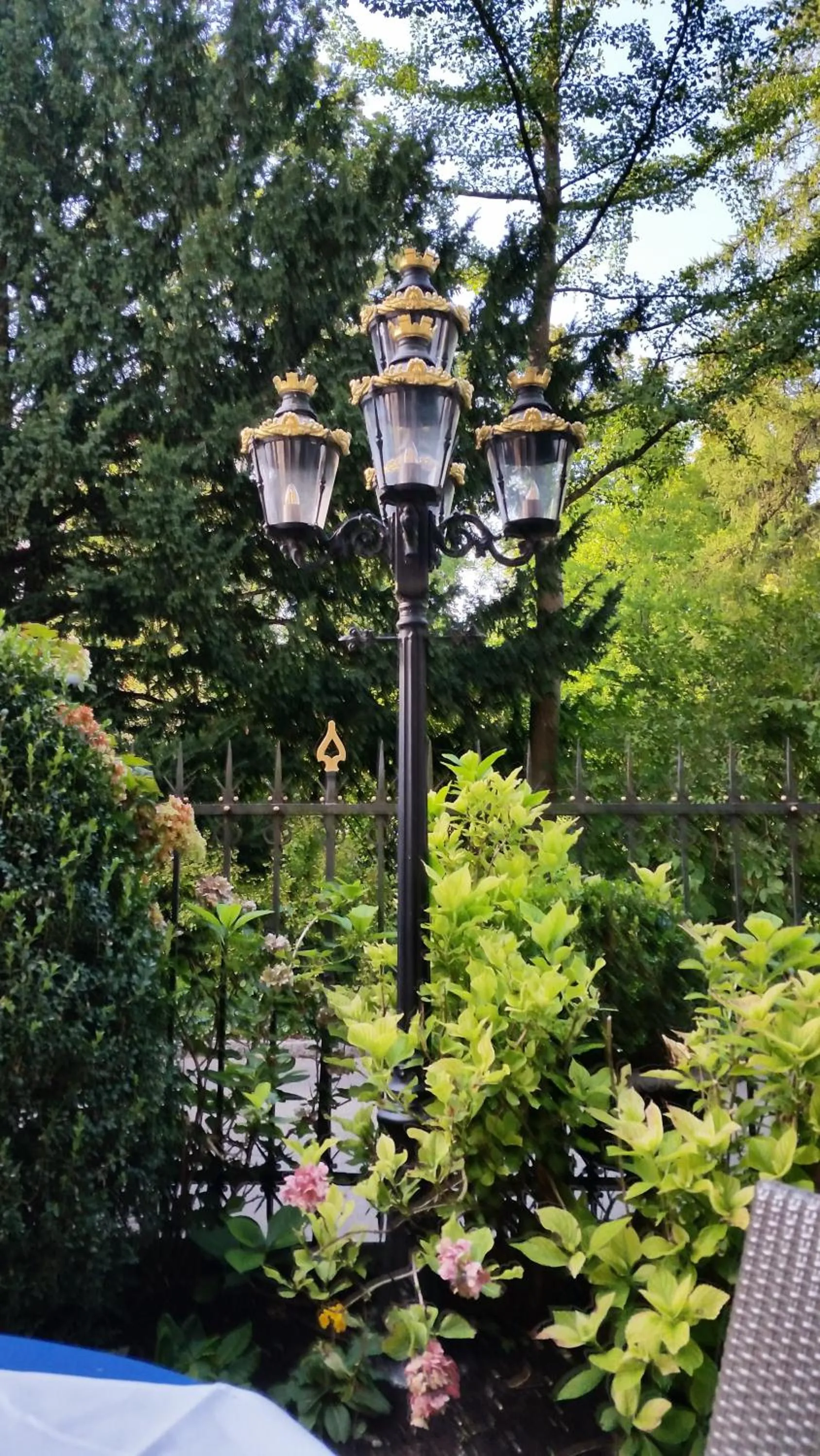 Restaurant/places to eat in Hotel Park Villa