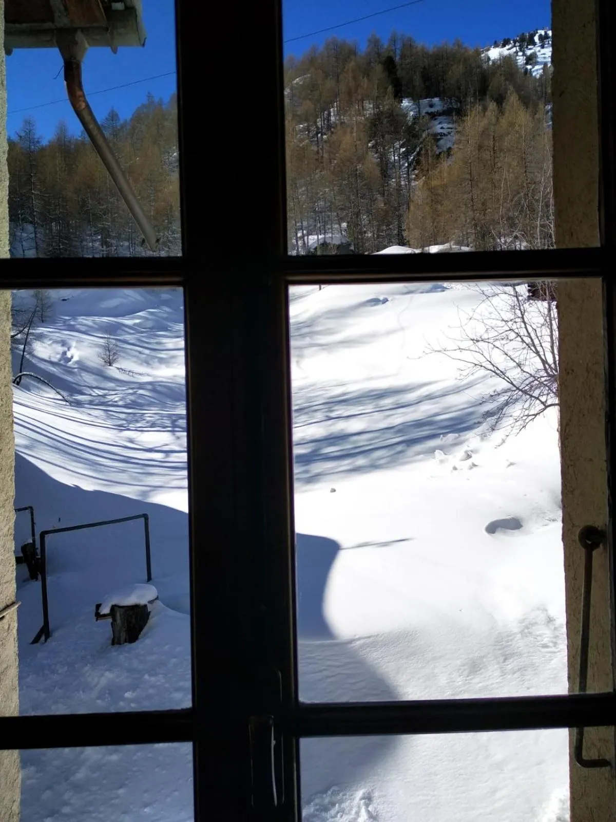 Winter in Hôtel Pension du Lac Bleu