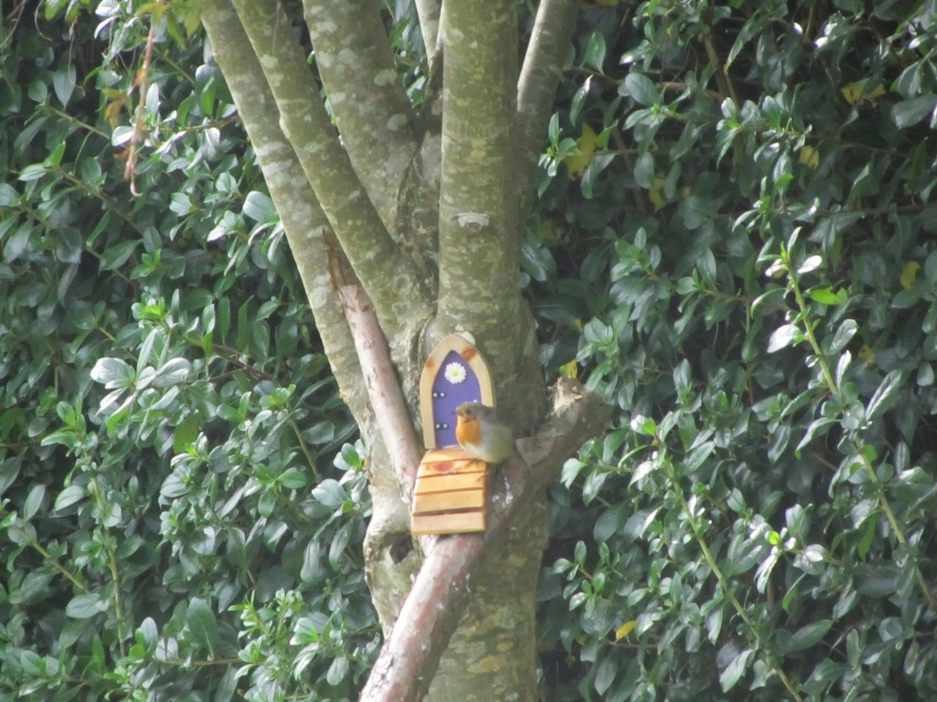 Bird's eye view in Edencrest B&B