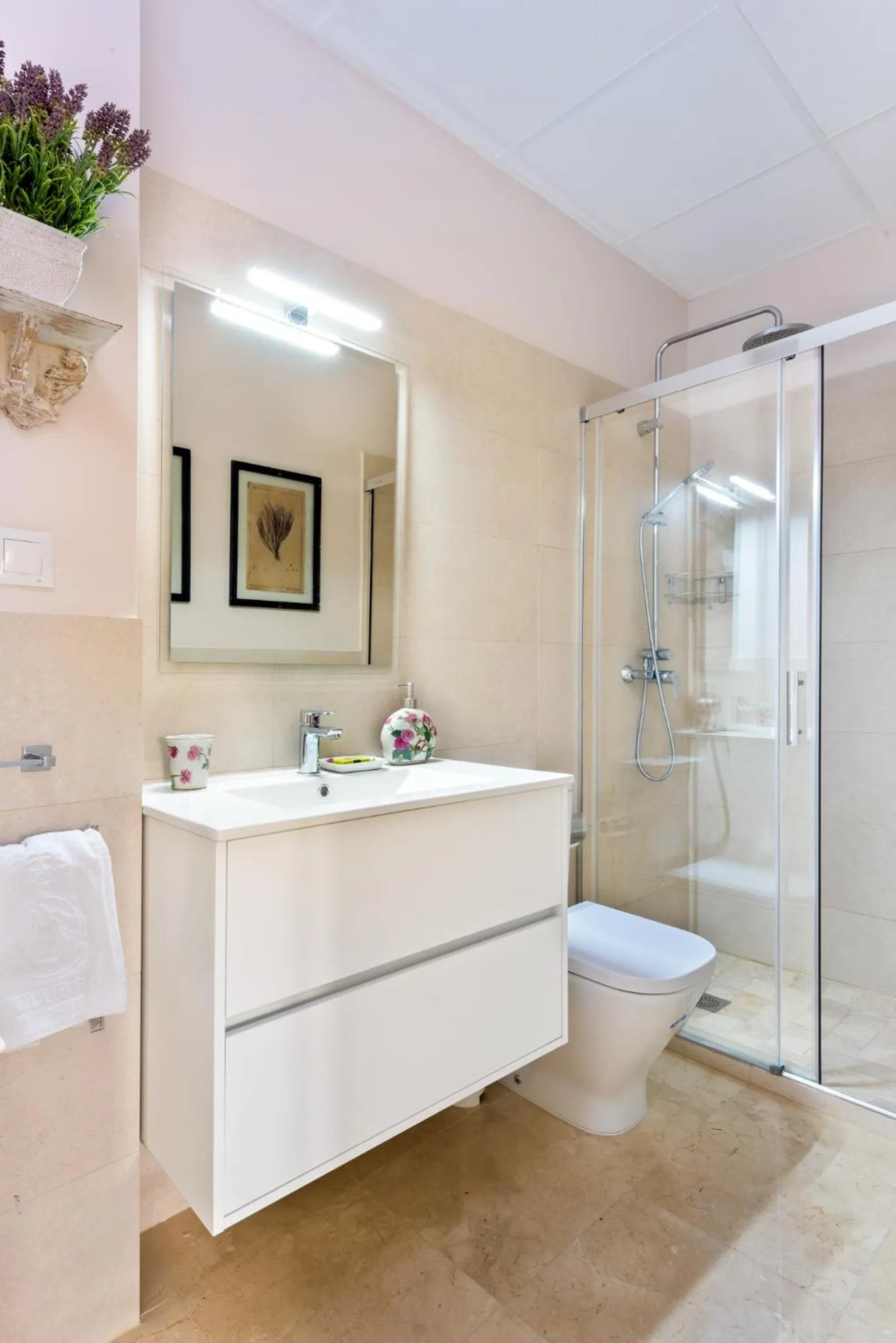 Shower in Genteel Home San Isidoro