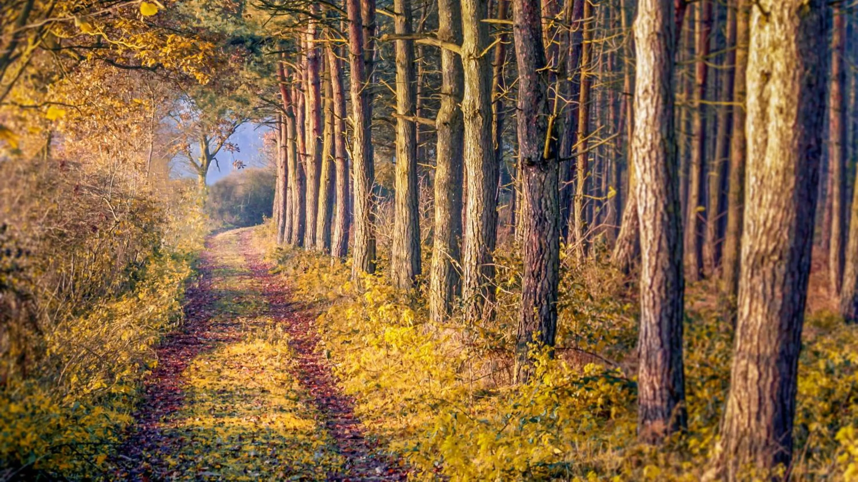 Area and facilities in Holiday Inn Derby/Nottingham by IHG