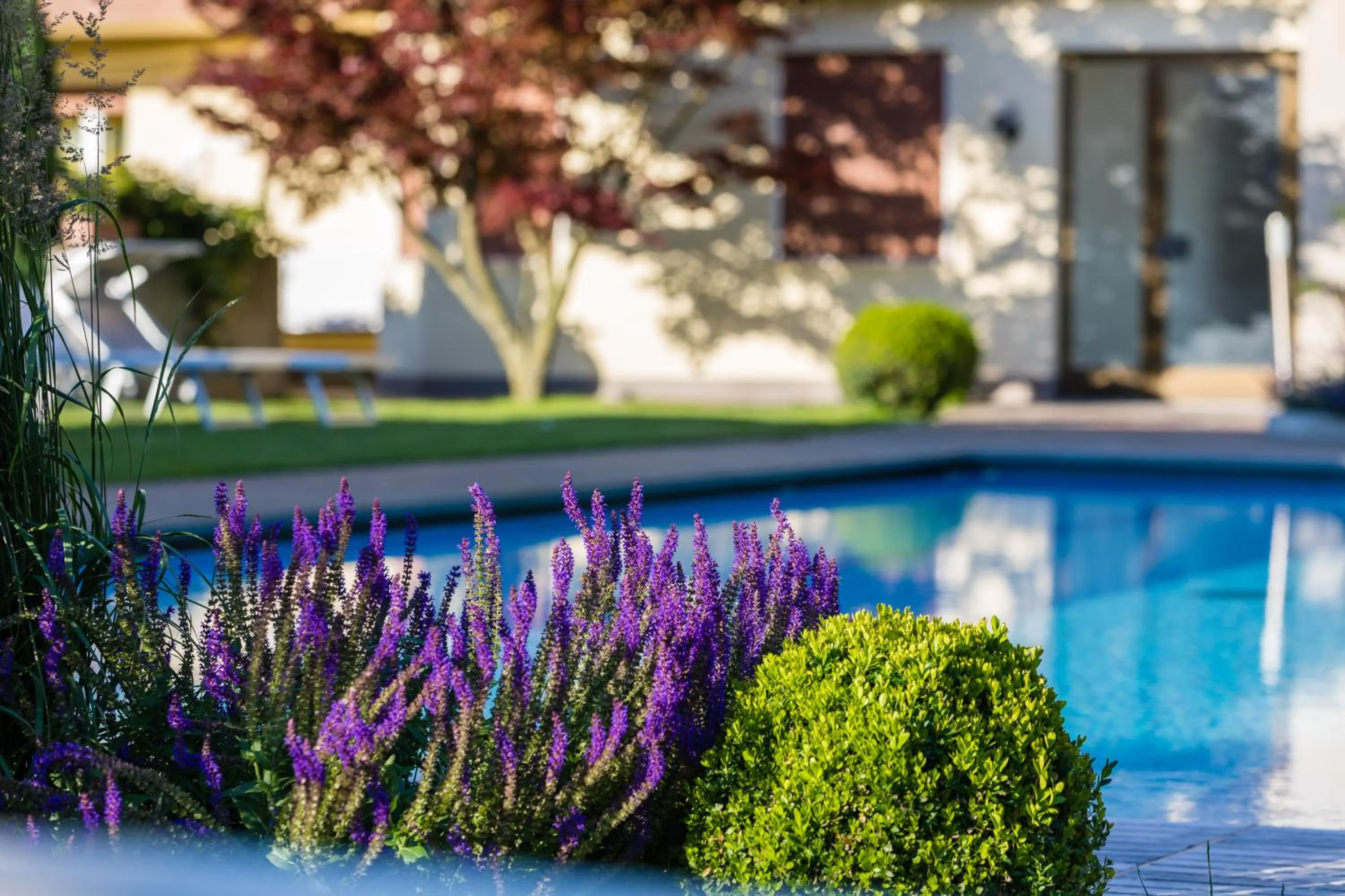Pool view in Hotel Untermelz