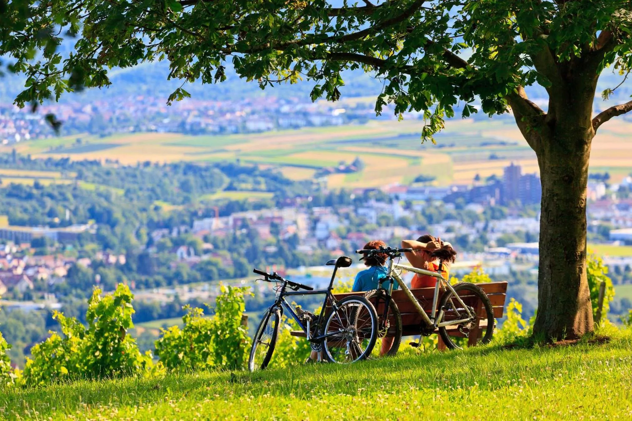 Nearby landmark in Holiday Inn Express Stuttgart-Waiblingen by IHG