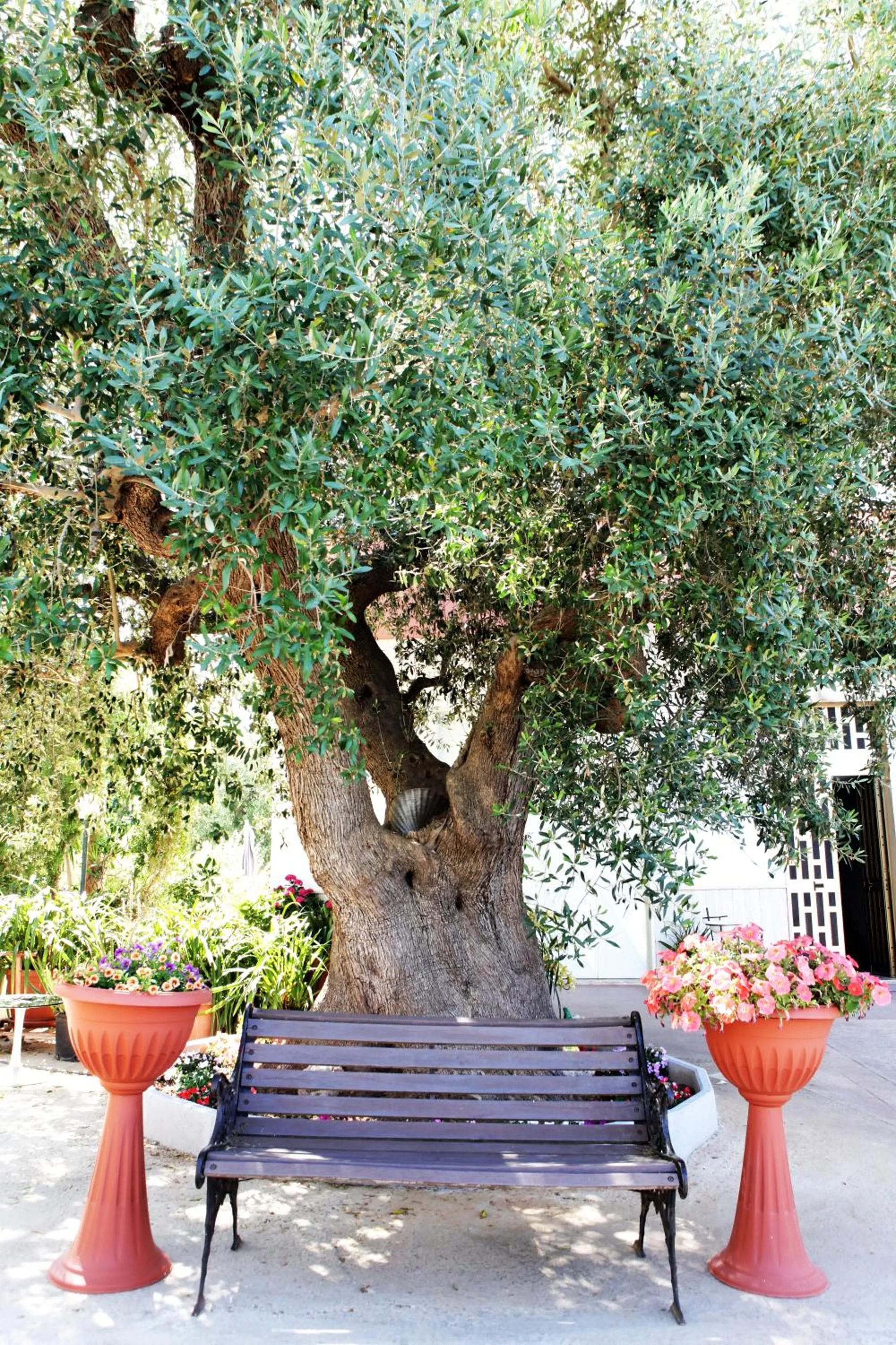 B&B Casa Mariangi
