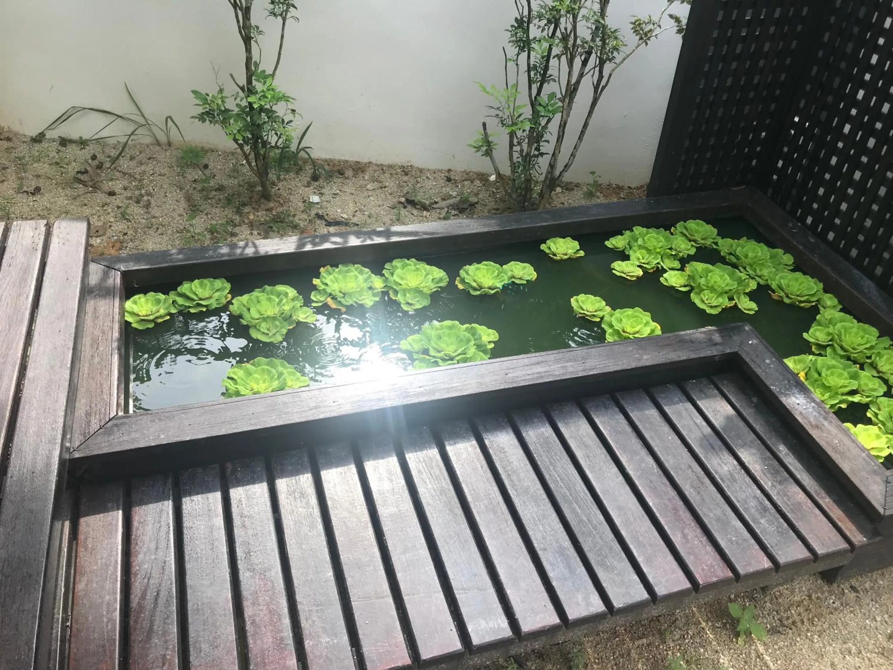 Jiaxin Homestay - JP Pedana 家馨民宿