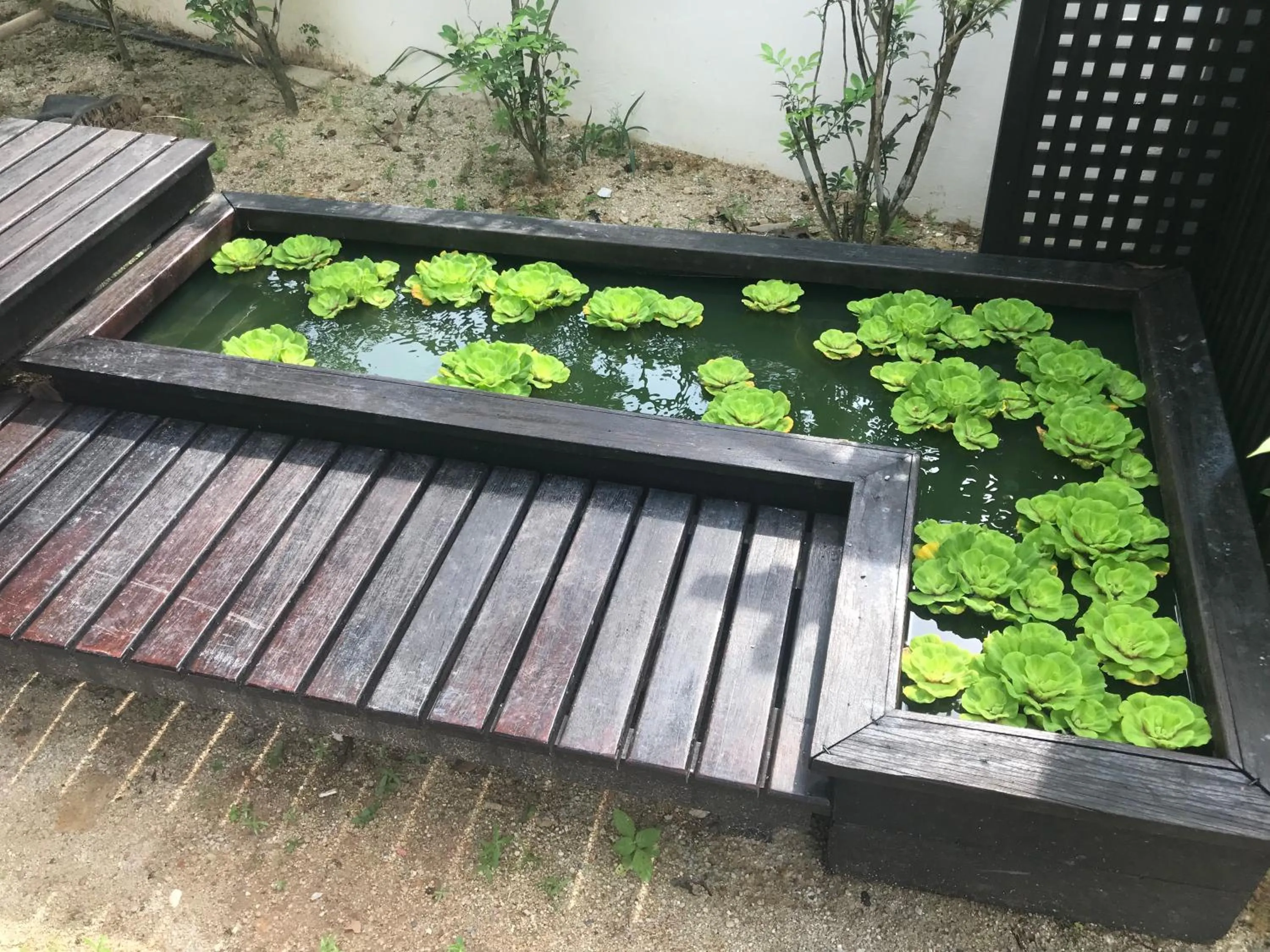 Jiaxin Homestay - JP Pedana 家馨民宿