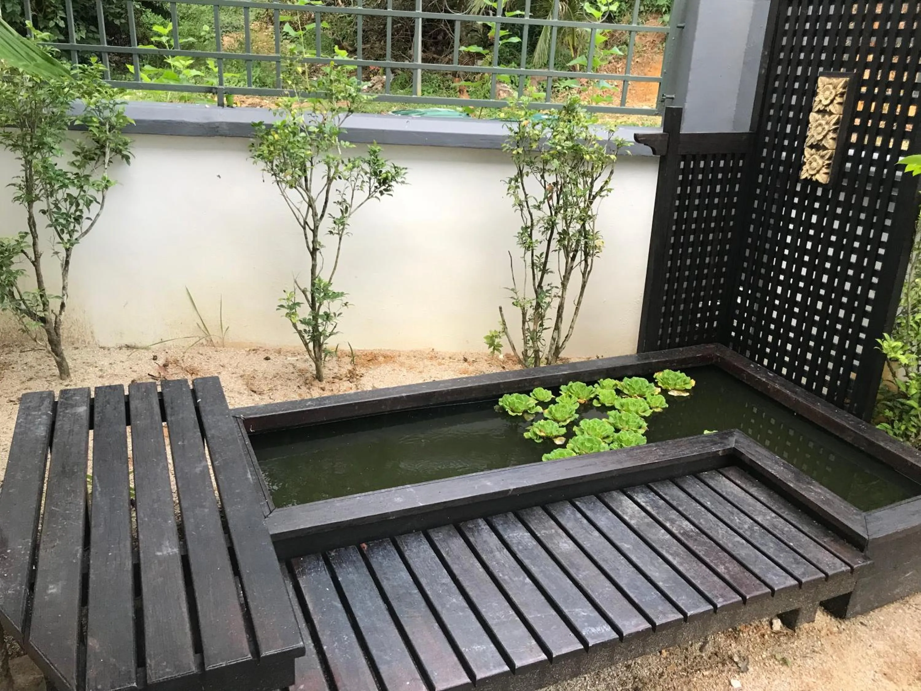 Garden view in Jiaxin Homestay - JP Pedana 家馨民宿