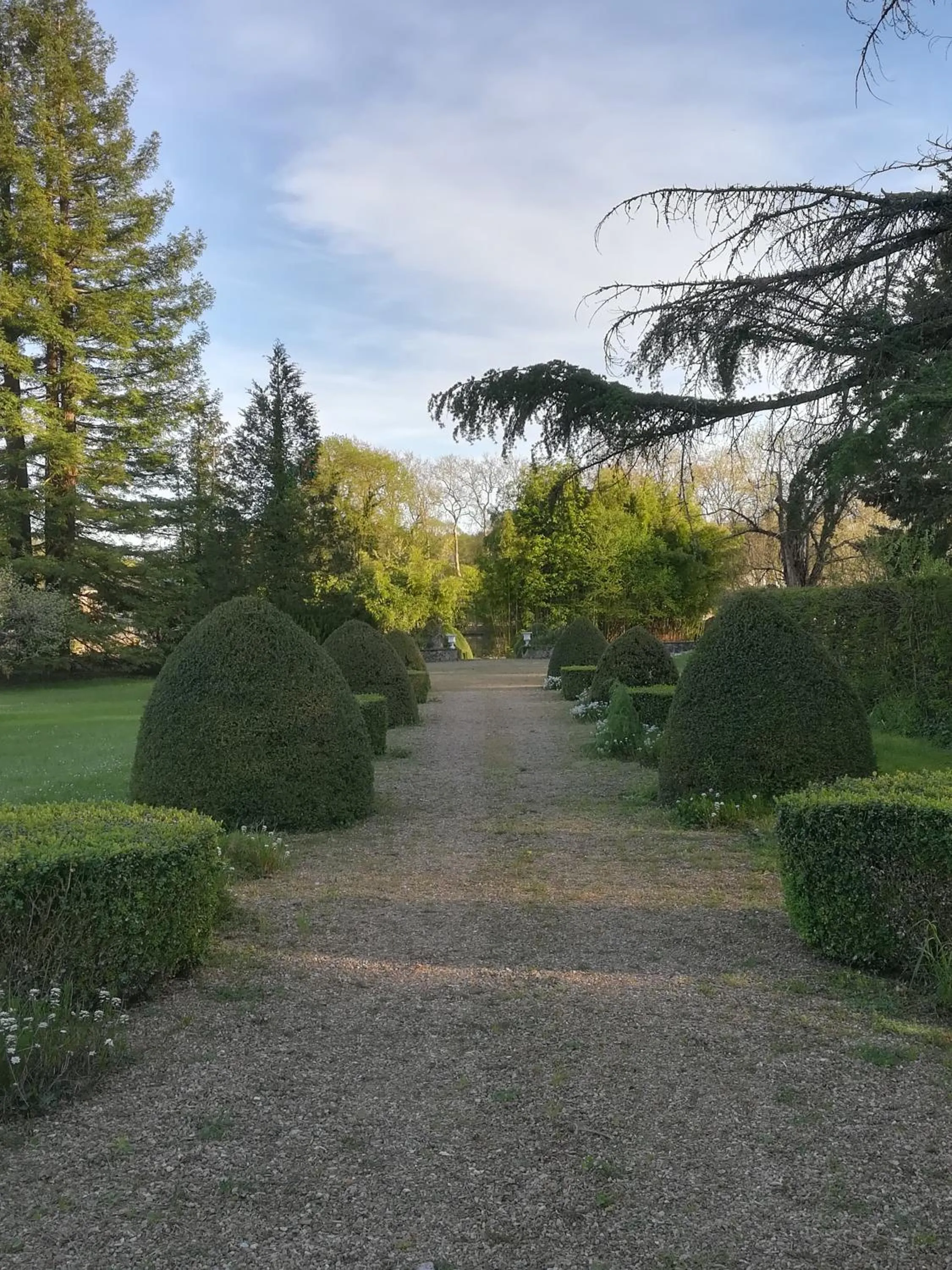 Garden view in Maison Angulus Ridet