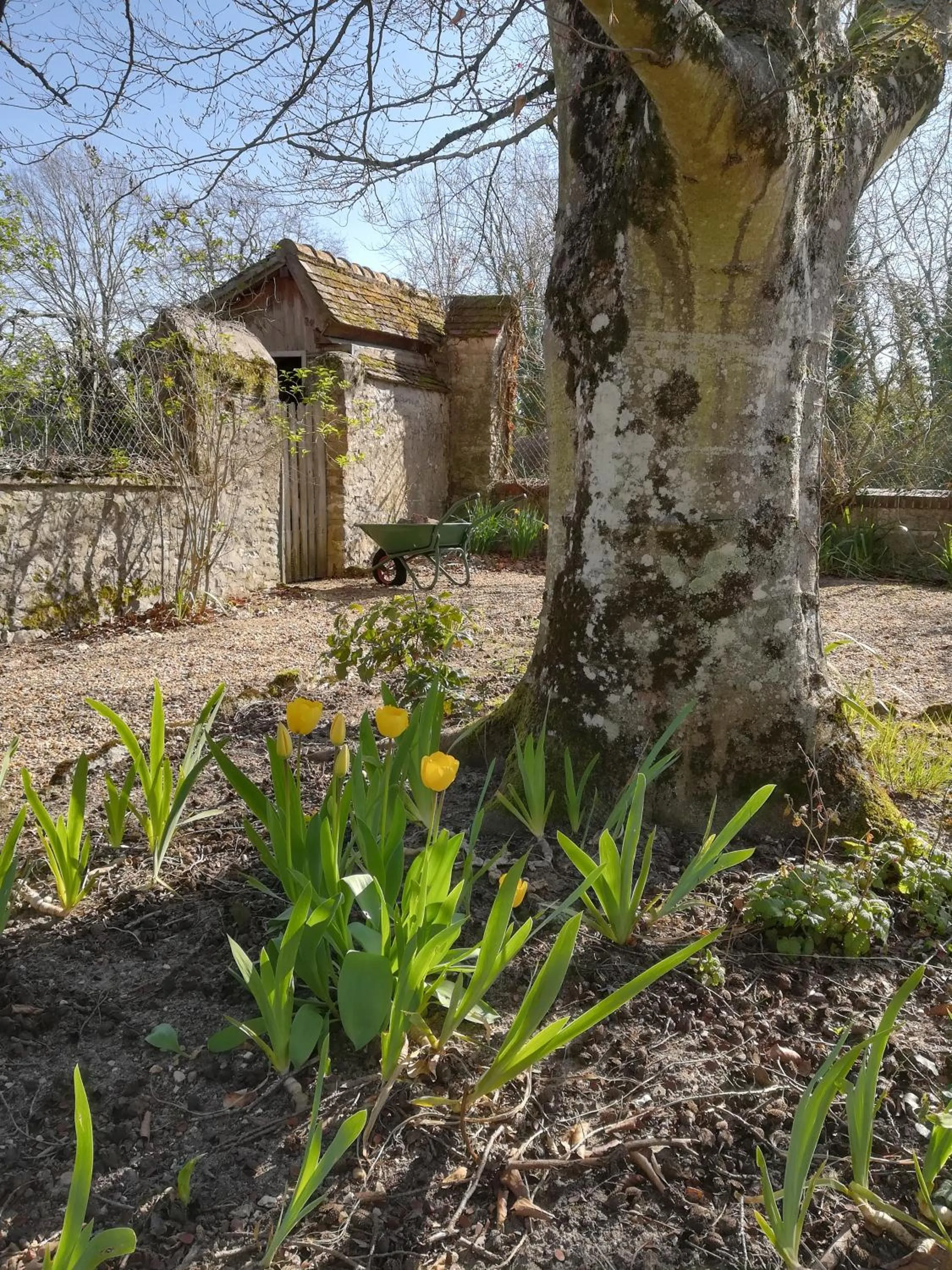 Maison Angulus Ridet