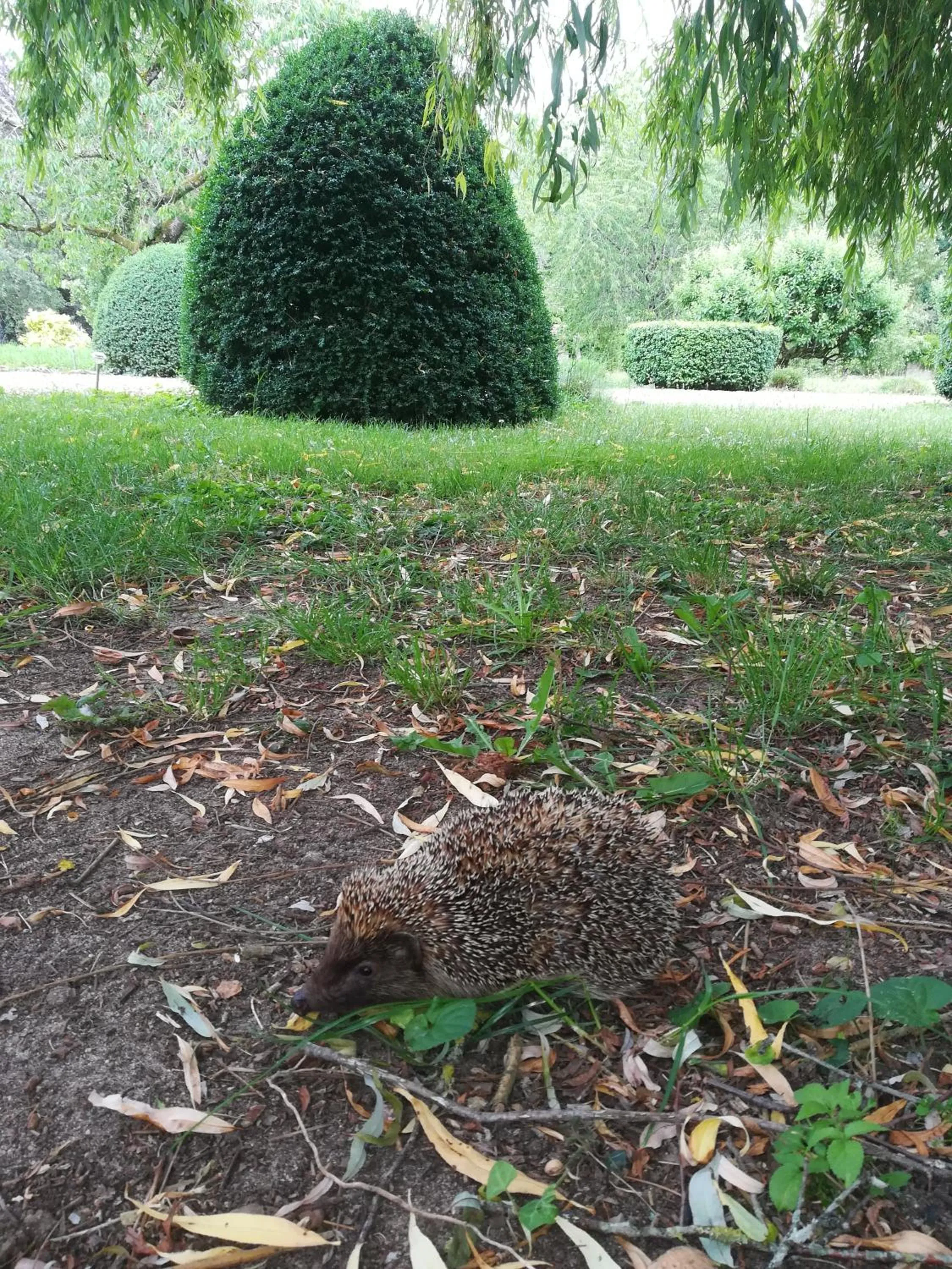 Maison Angulus Ridet