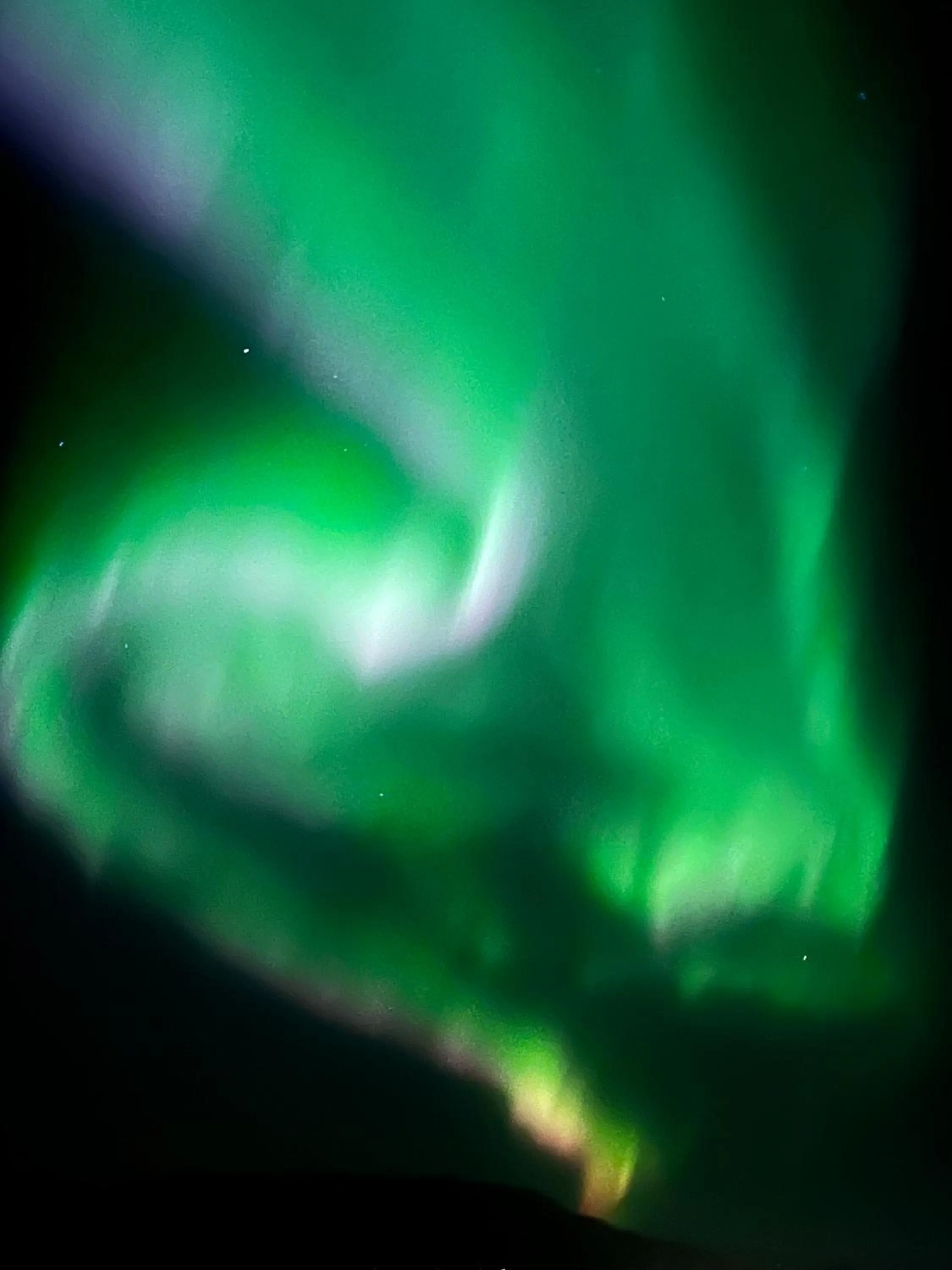 Natural landscape in Bjork Guesthouse