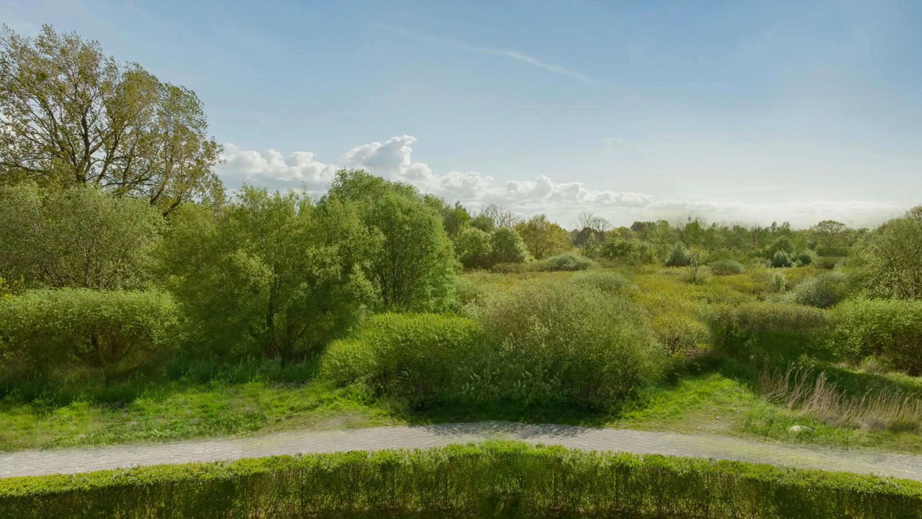 Natural landscape in Pensjonat KoGa
