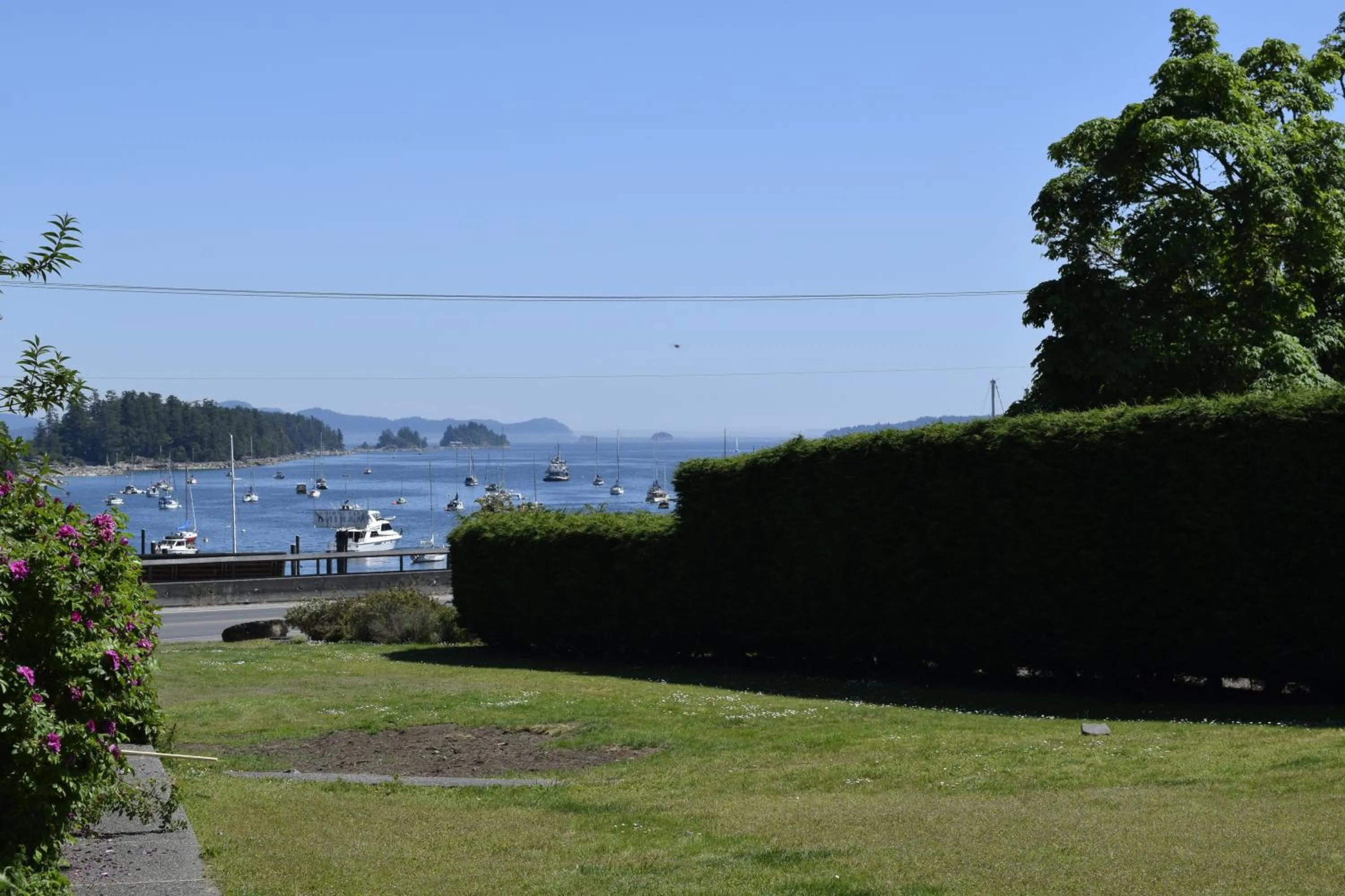 Sea view in Harbour House Hotel