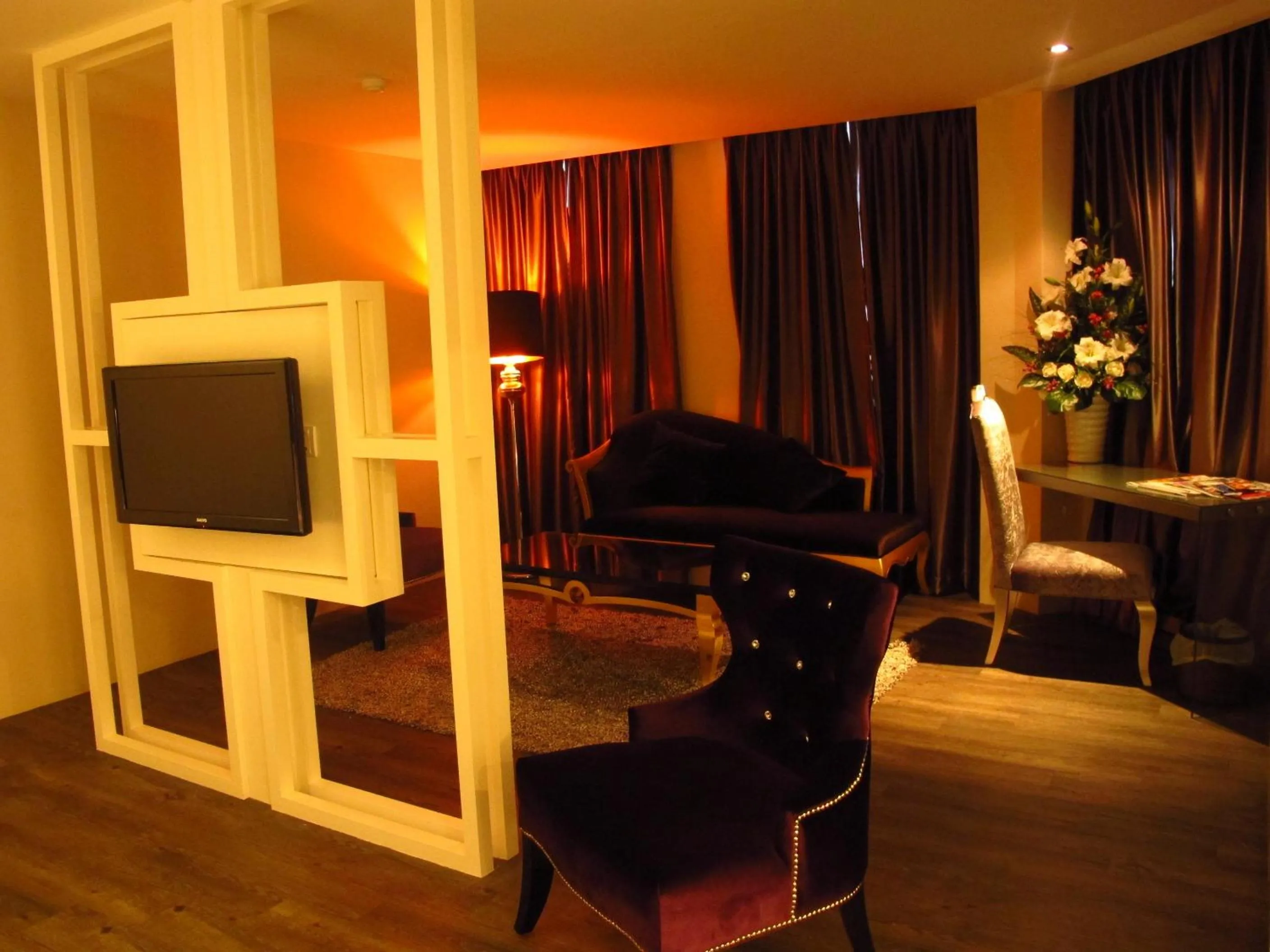 TV and multimedia in Hotel Austin Paradise