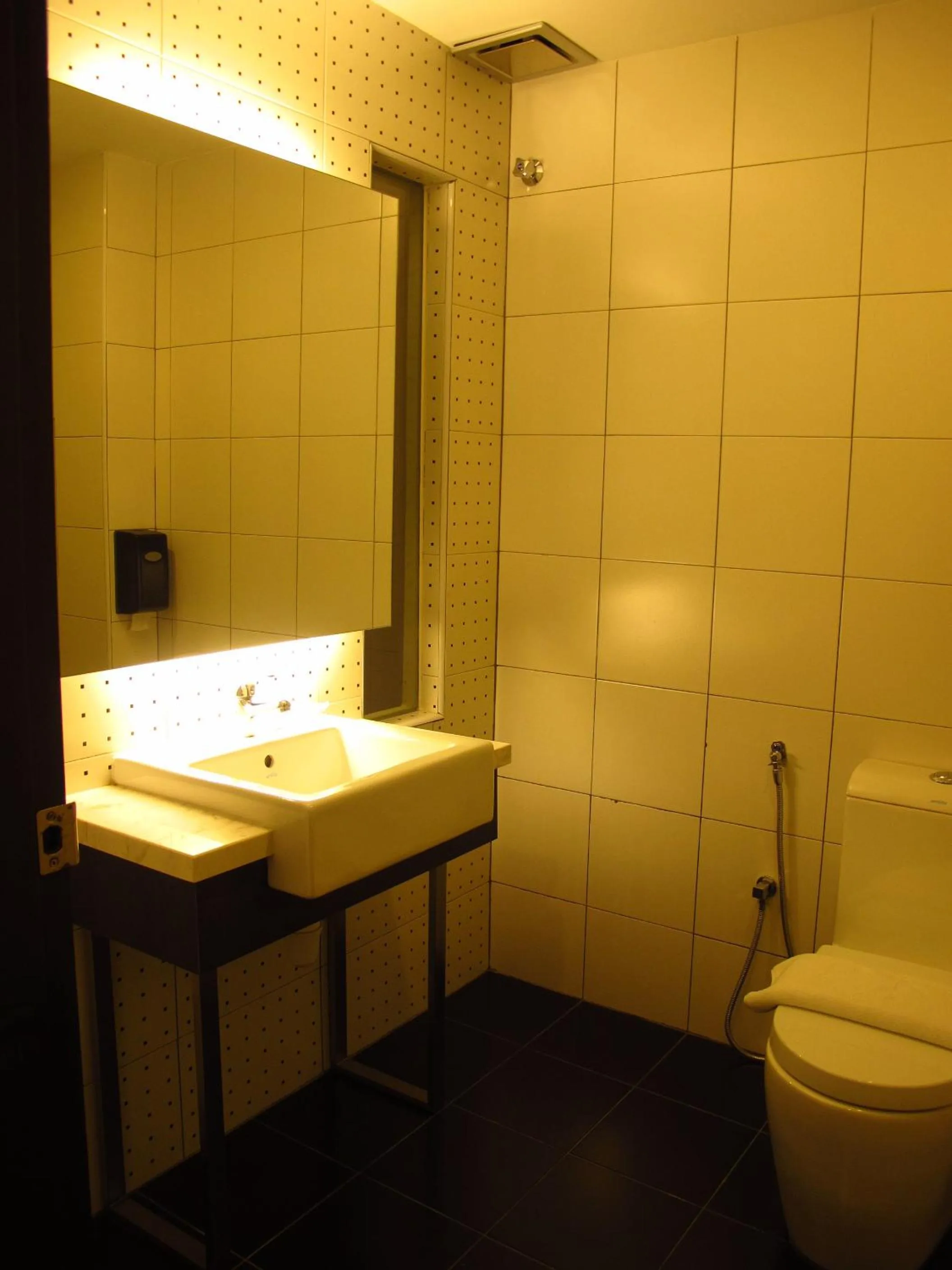 Bathroom in Hotel Austin Paradise