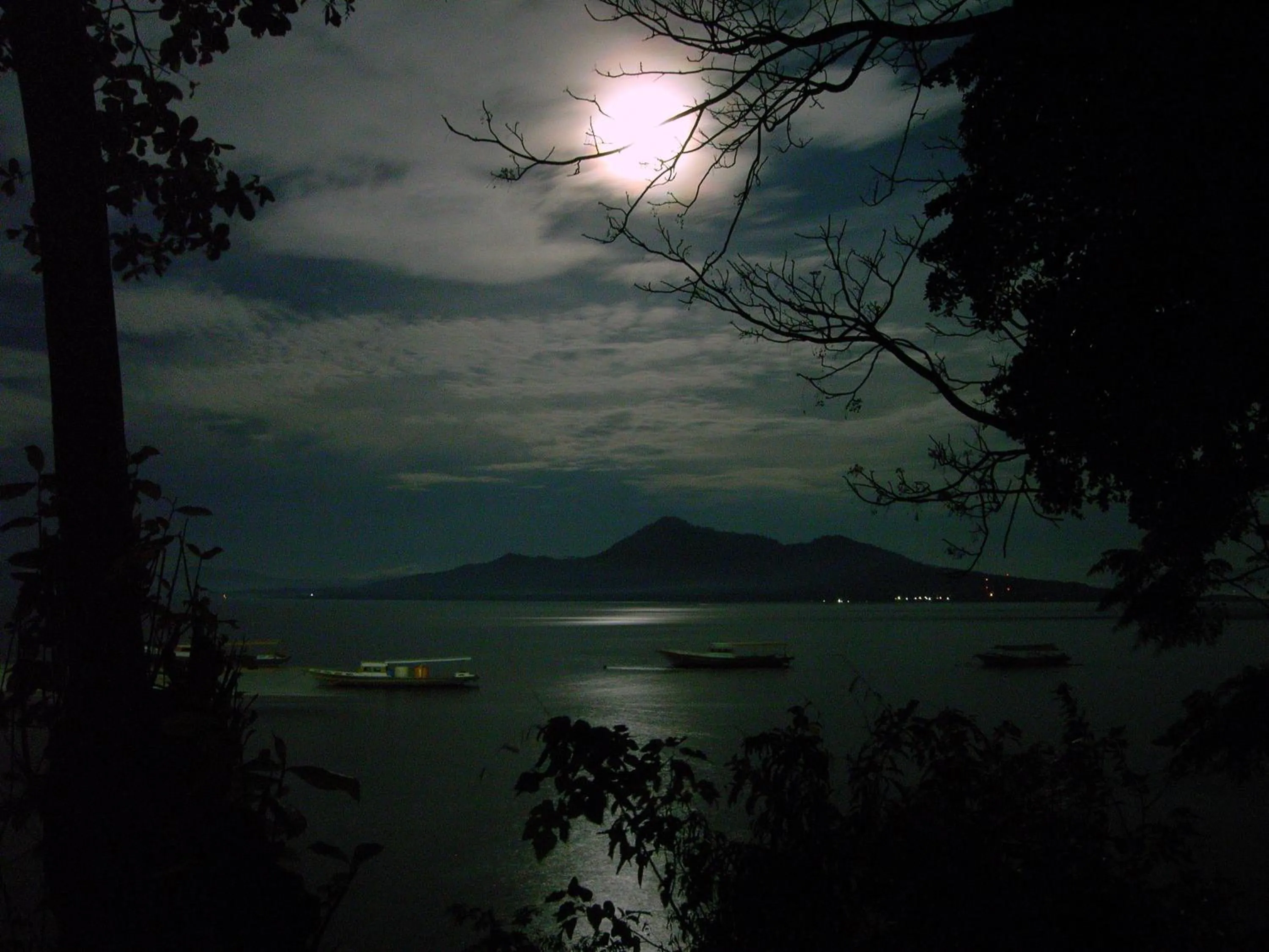 View (from property/room) in Bunaken Divers Sea Breeze Resort