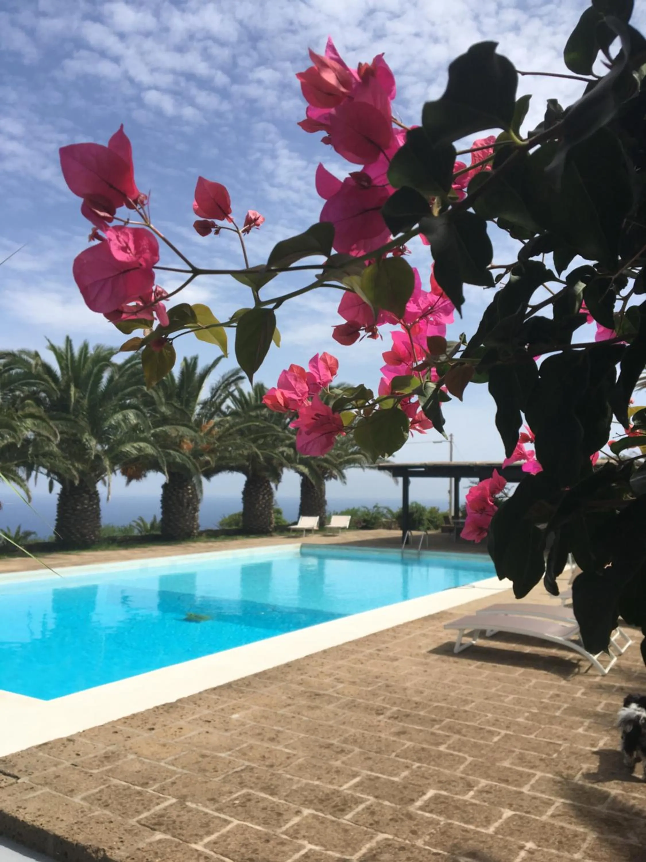 Swimming pool in Residenza Khaddiuggia