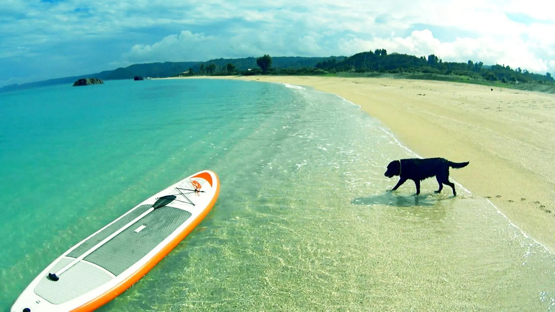 Activities in Okinawan. Sweet Home. T-8