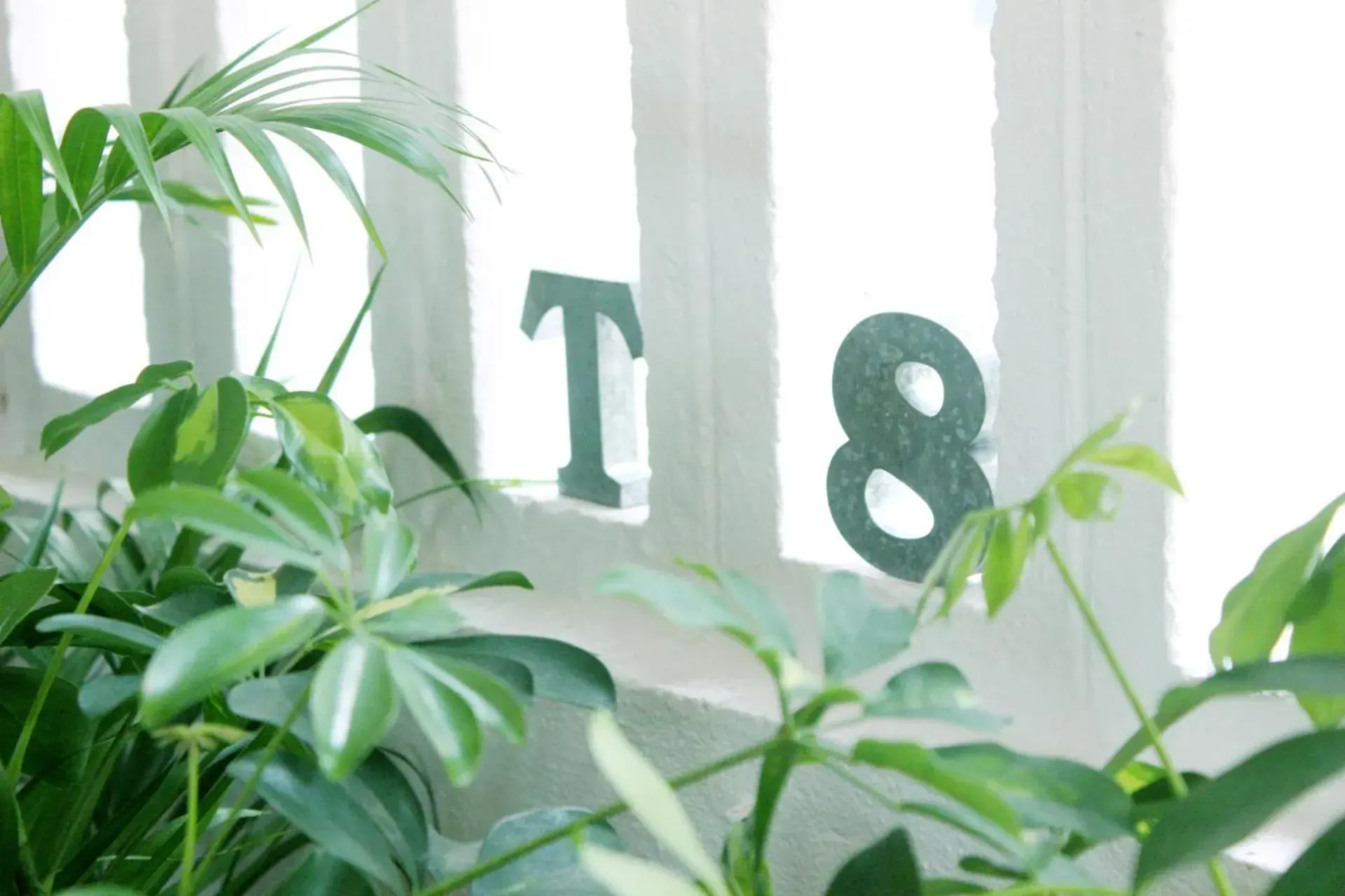 Other in Okinawan. Sweet Home. T-8 Other in Okinawan. Sweet Home. T-8