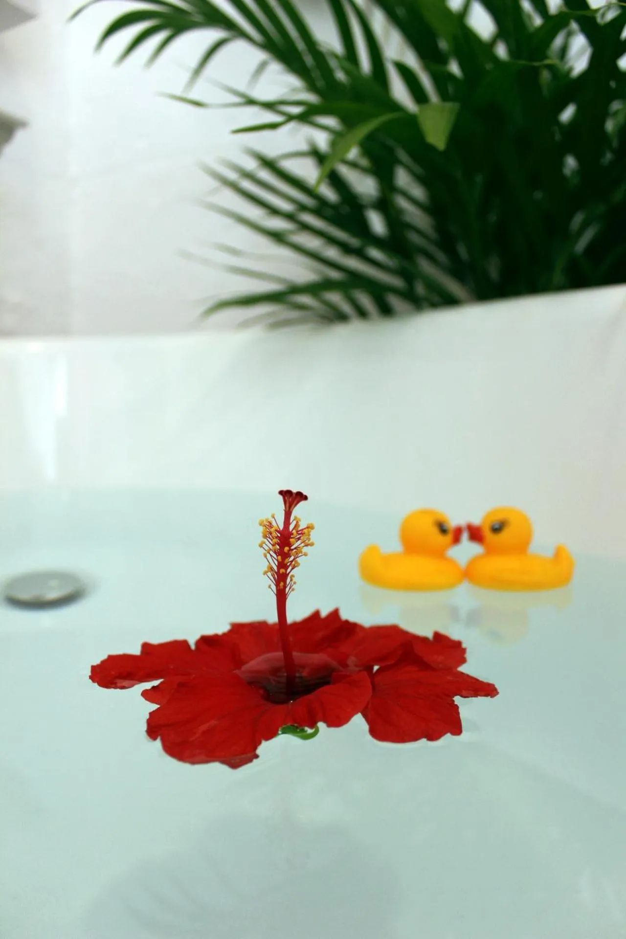 Bathroom in Okinawan. Sweet Home. T-8