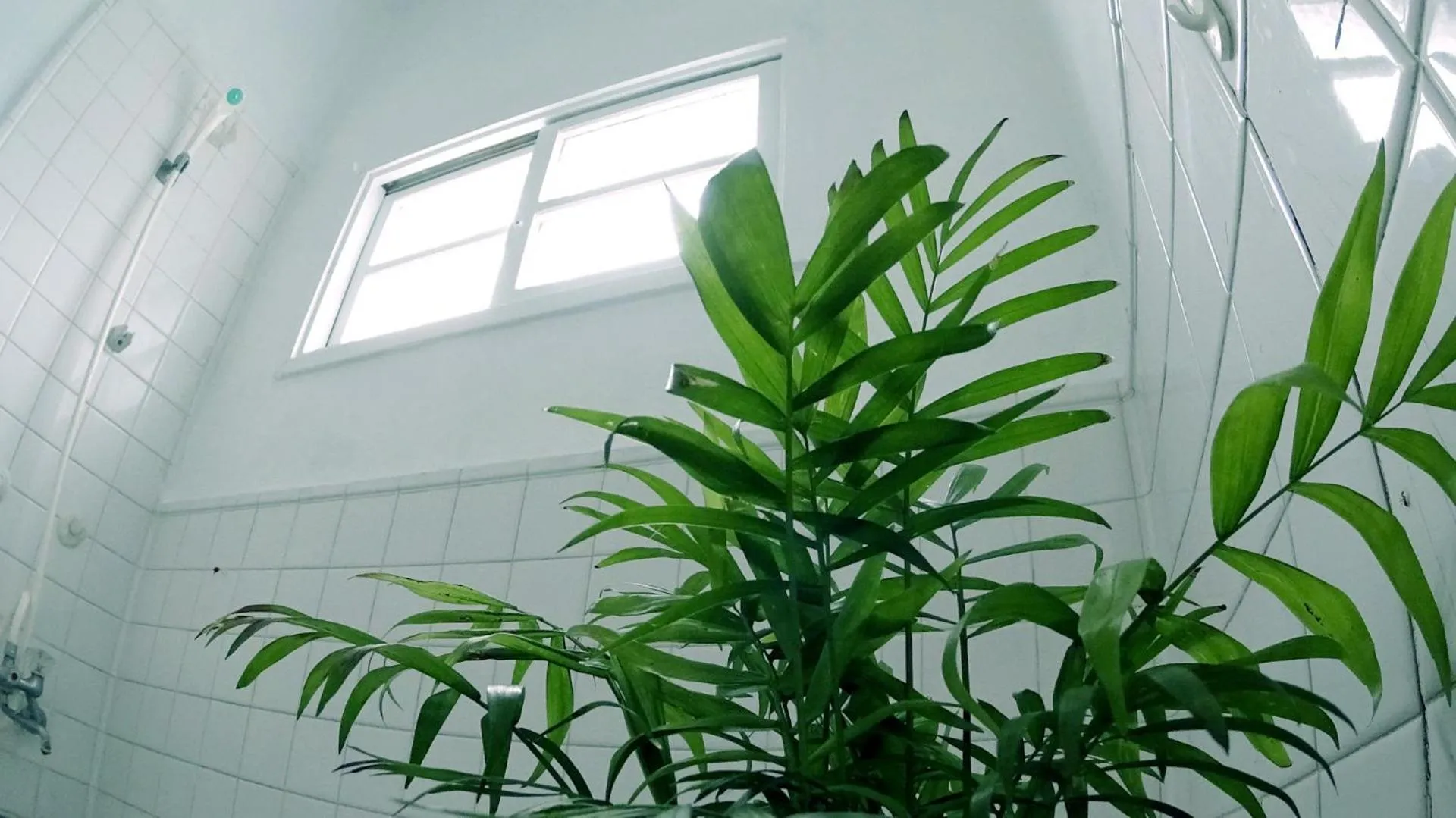 Bathroom in Okinawan. Sweet Home. T-8