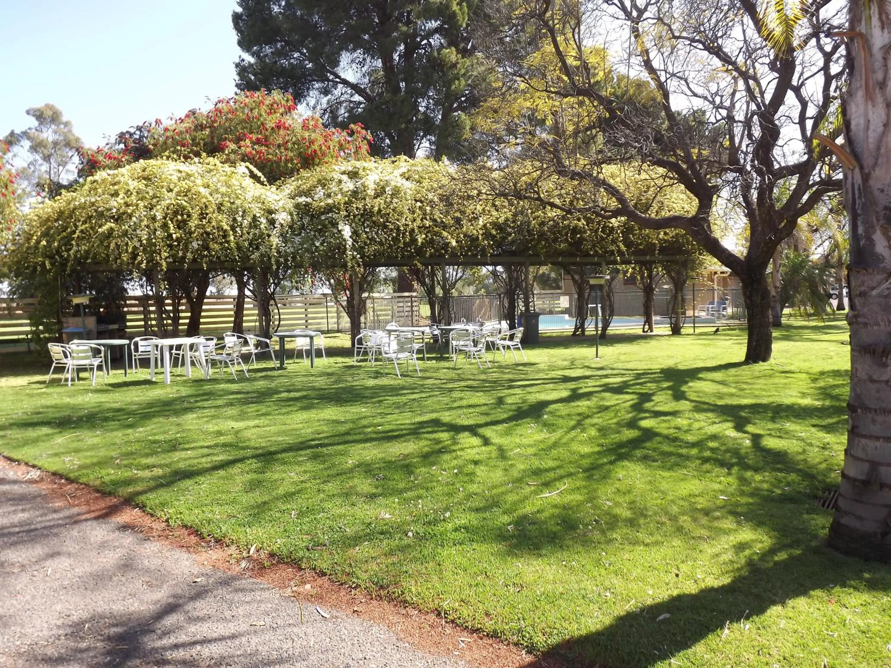 Swimming pool in Mildura Golf Resort