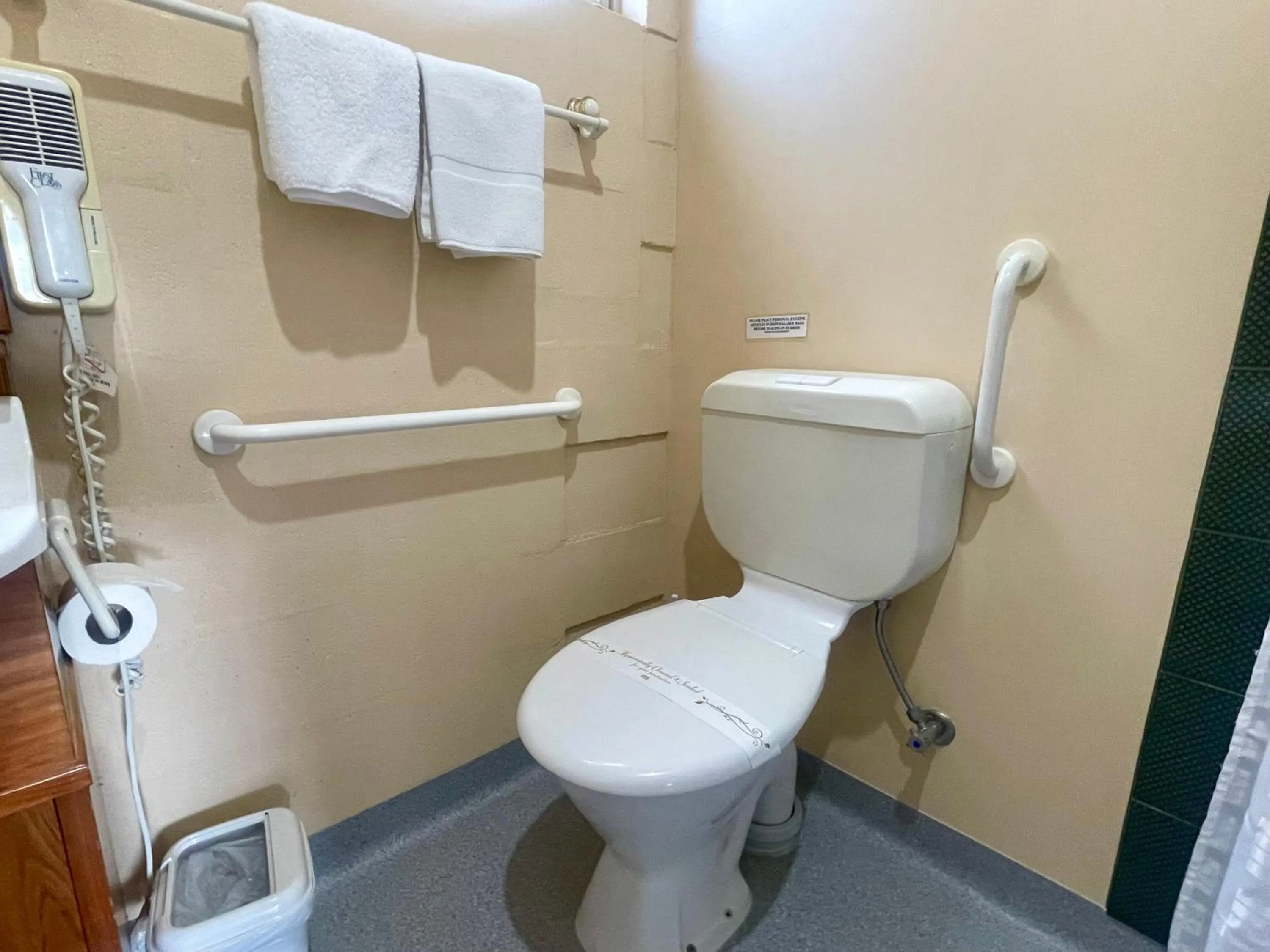 Toilet in Swansea Cottages & Lodge Suites