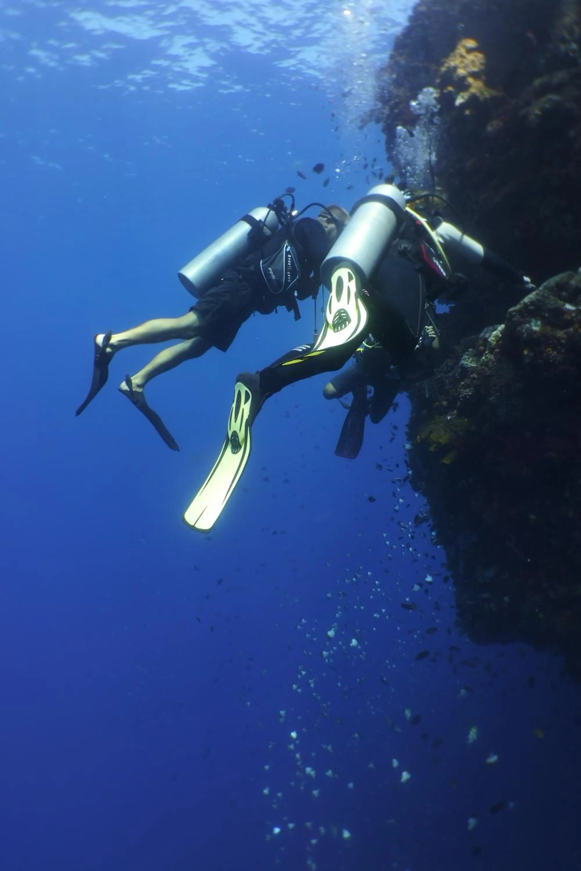Diving in Bunaken Sea Garden Resort