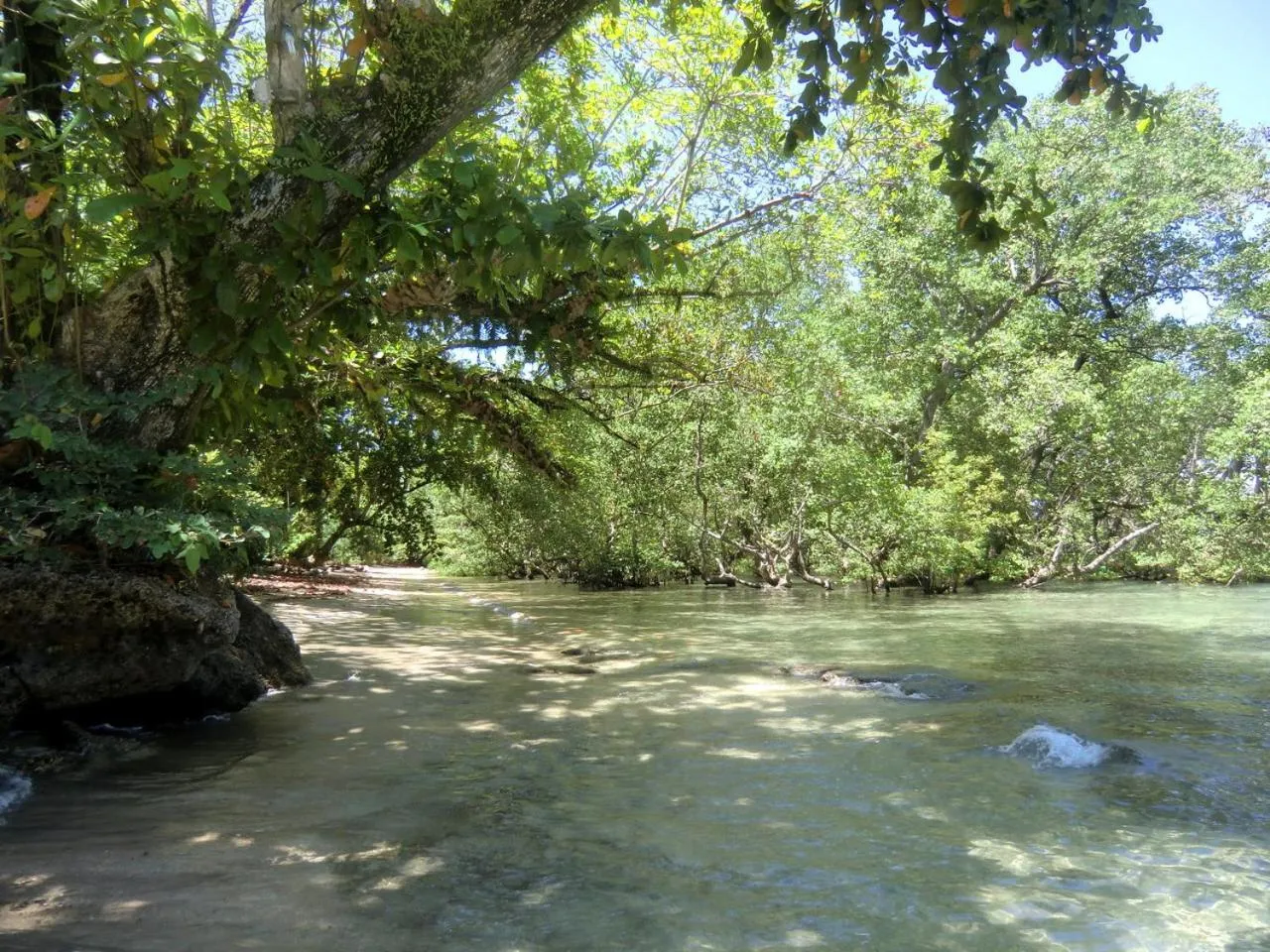 Natural landscape in Bunaken Sea Garden Resort